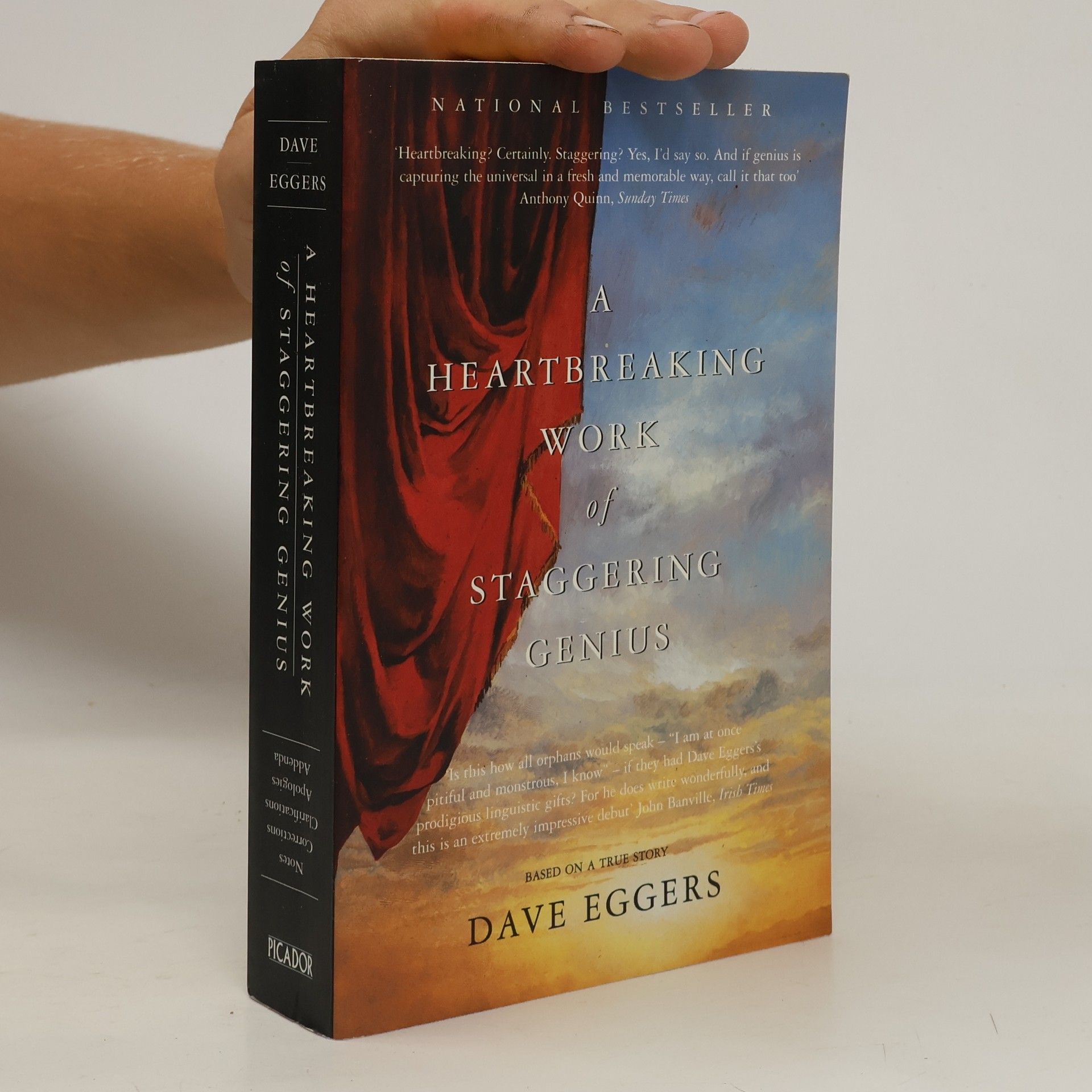 Dave Eggers A heartbreaking work of staggering genius