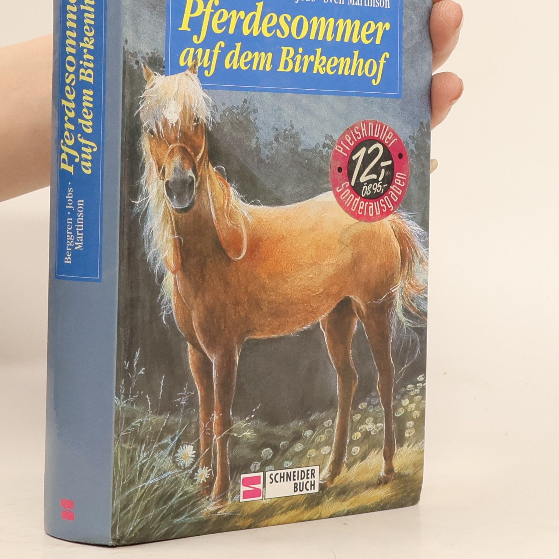 Pferdesommer auf dem Birkenhof