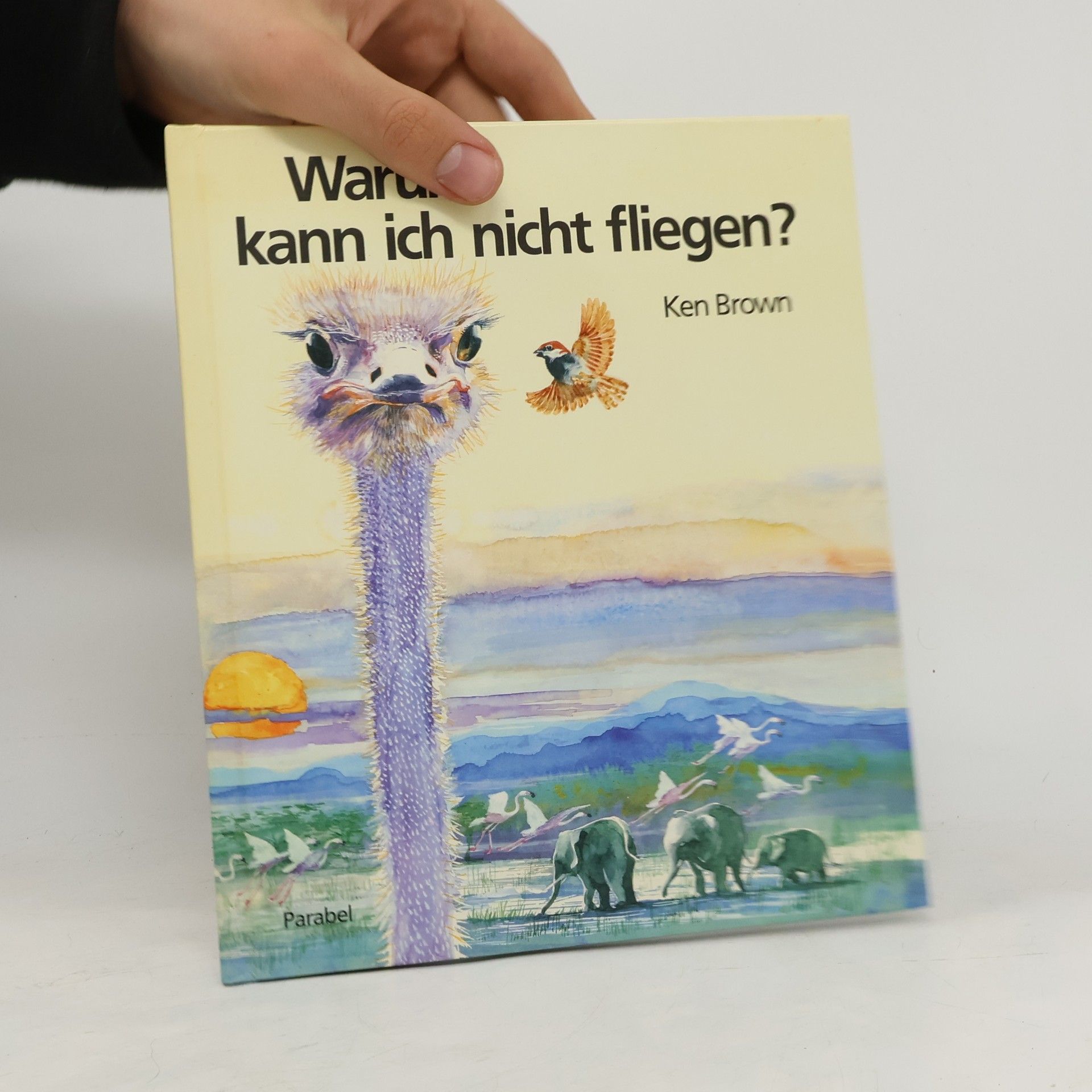Ken Brown Warum kann ich nicht fliegen?