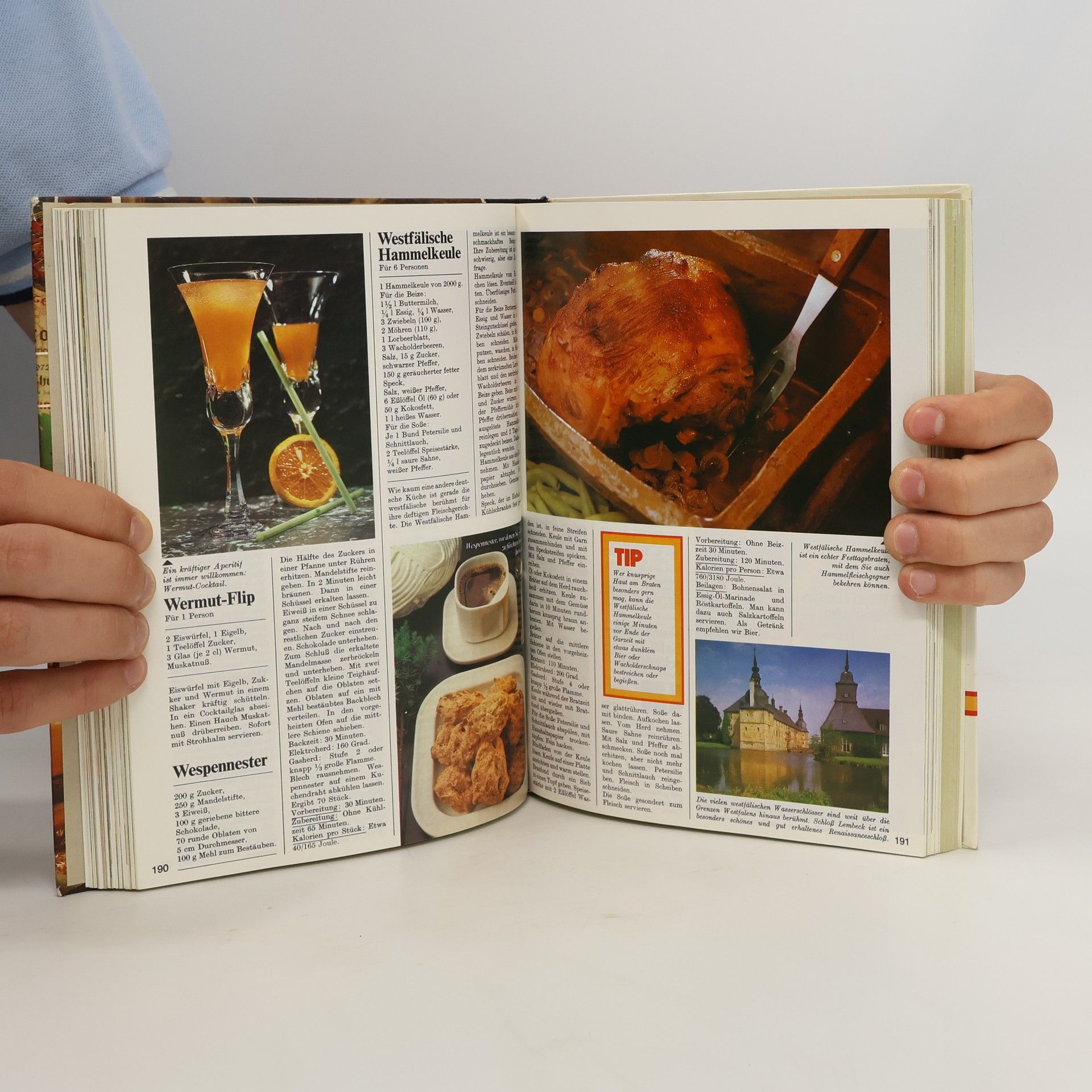 Autorenkollektiv Menu. Das große moderne Kochlexikon 10