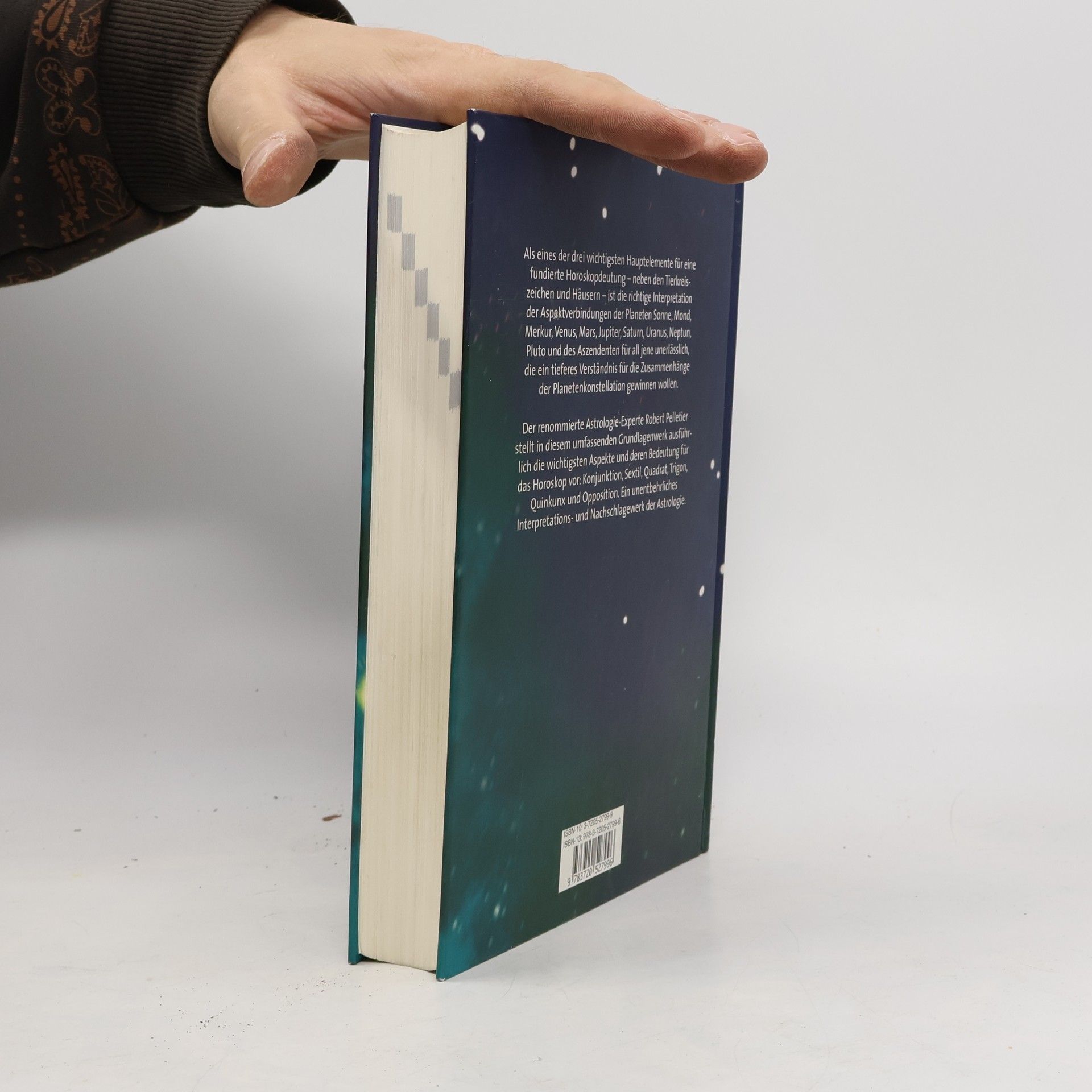 Robert Pelletier Das Buch der Aspekte