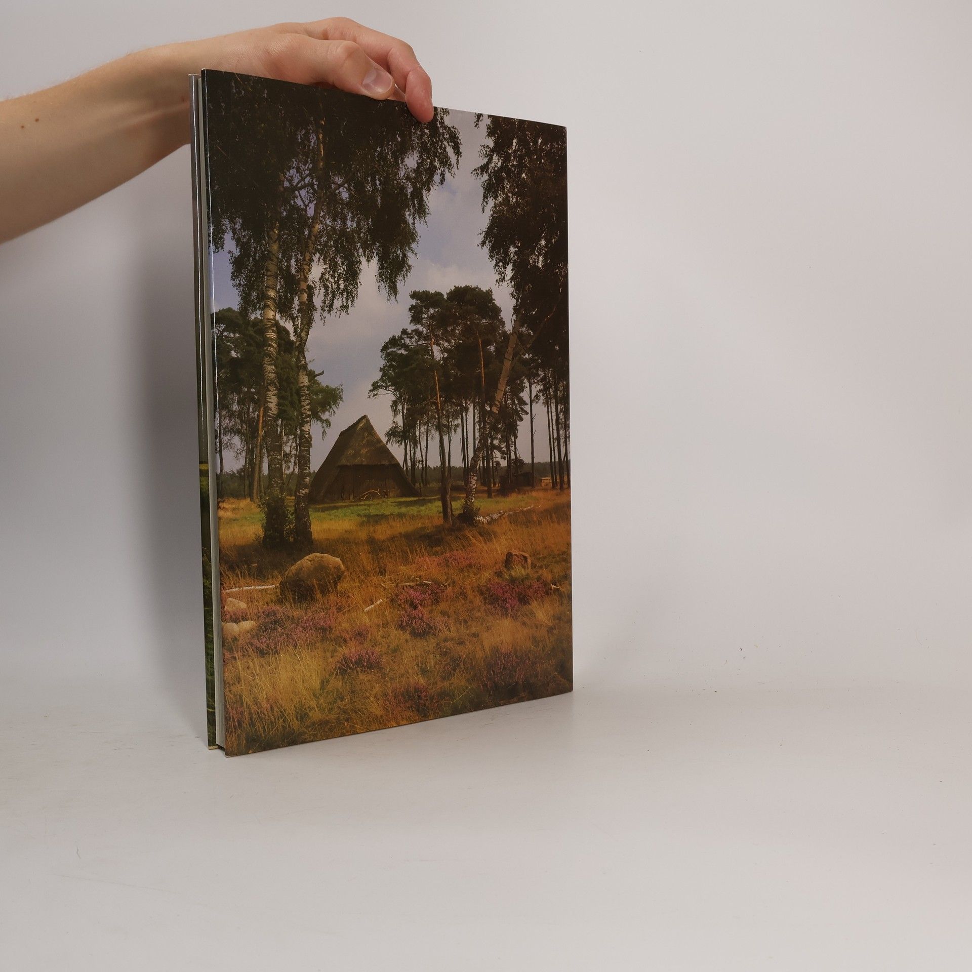 Rohmeyer Klaus Land zwischen Heide und Meer