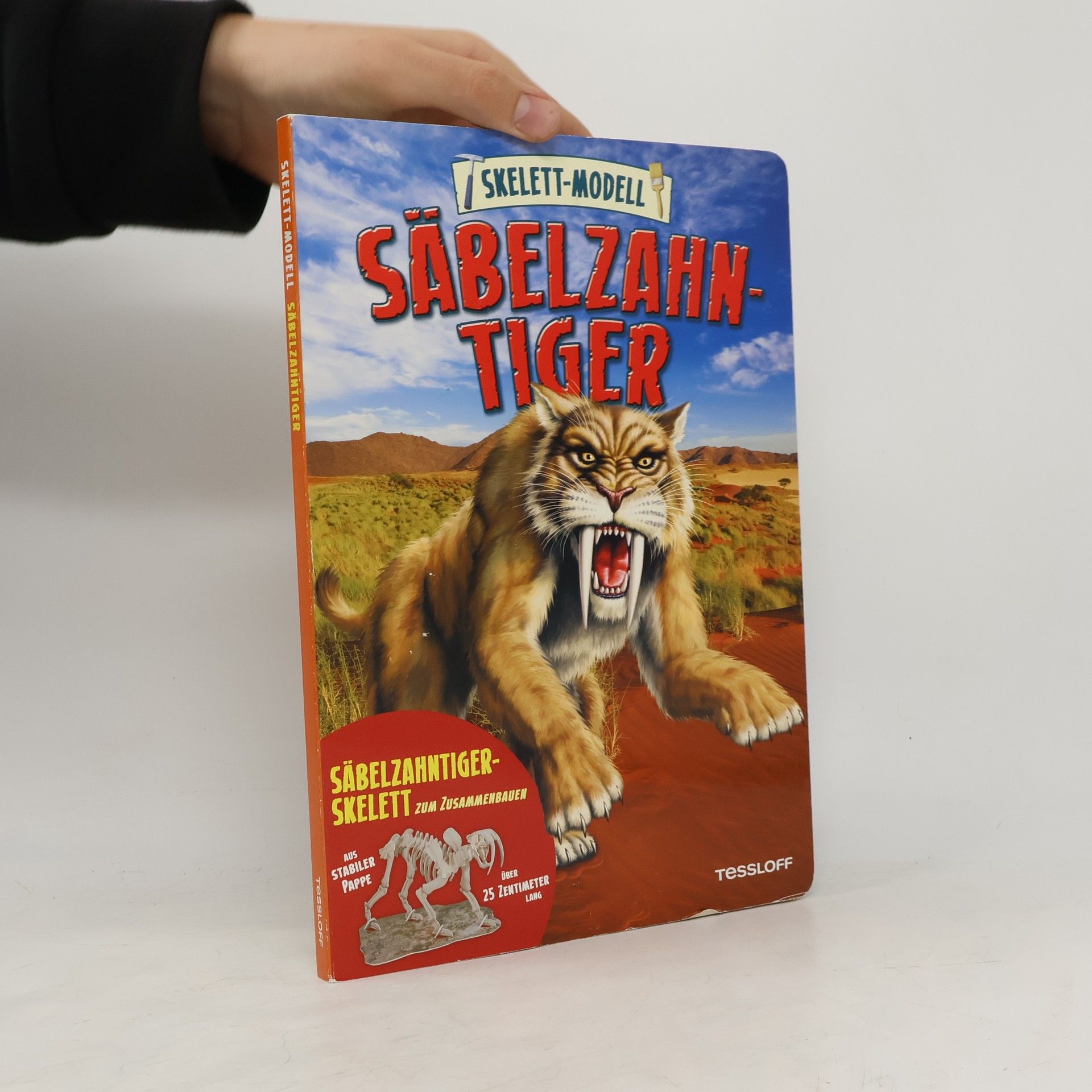 Autorenkollektiv Skelett-Modell Säbelzahntiger