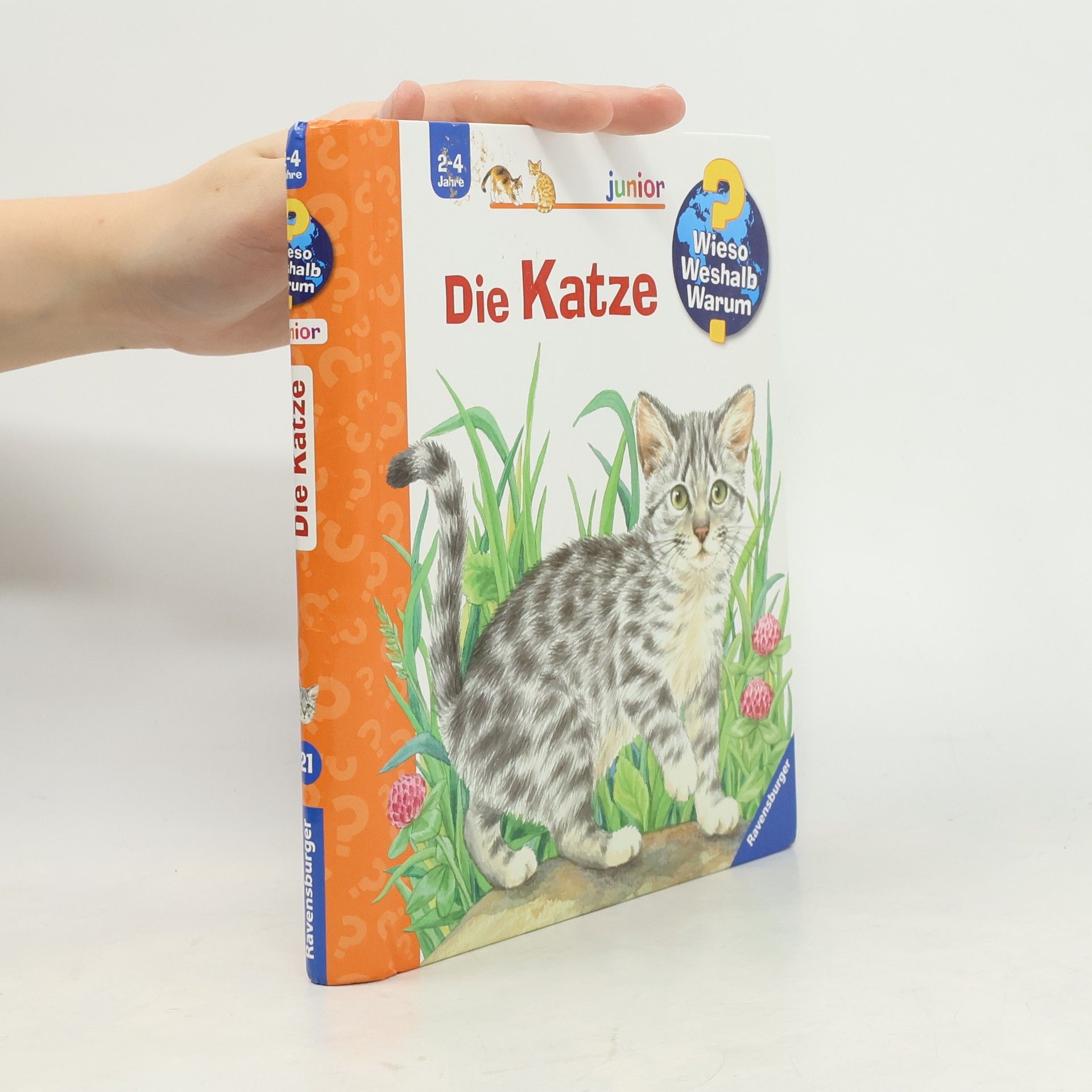 Ursula Weller Die Katze