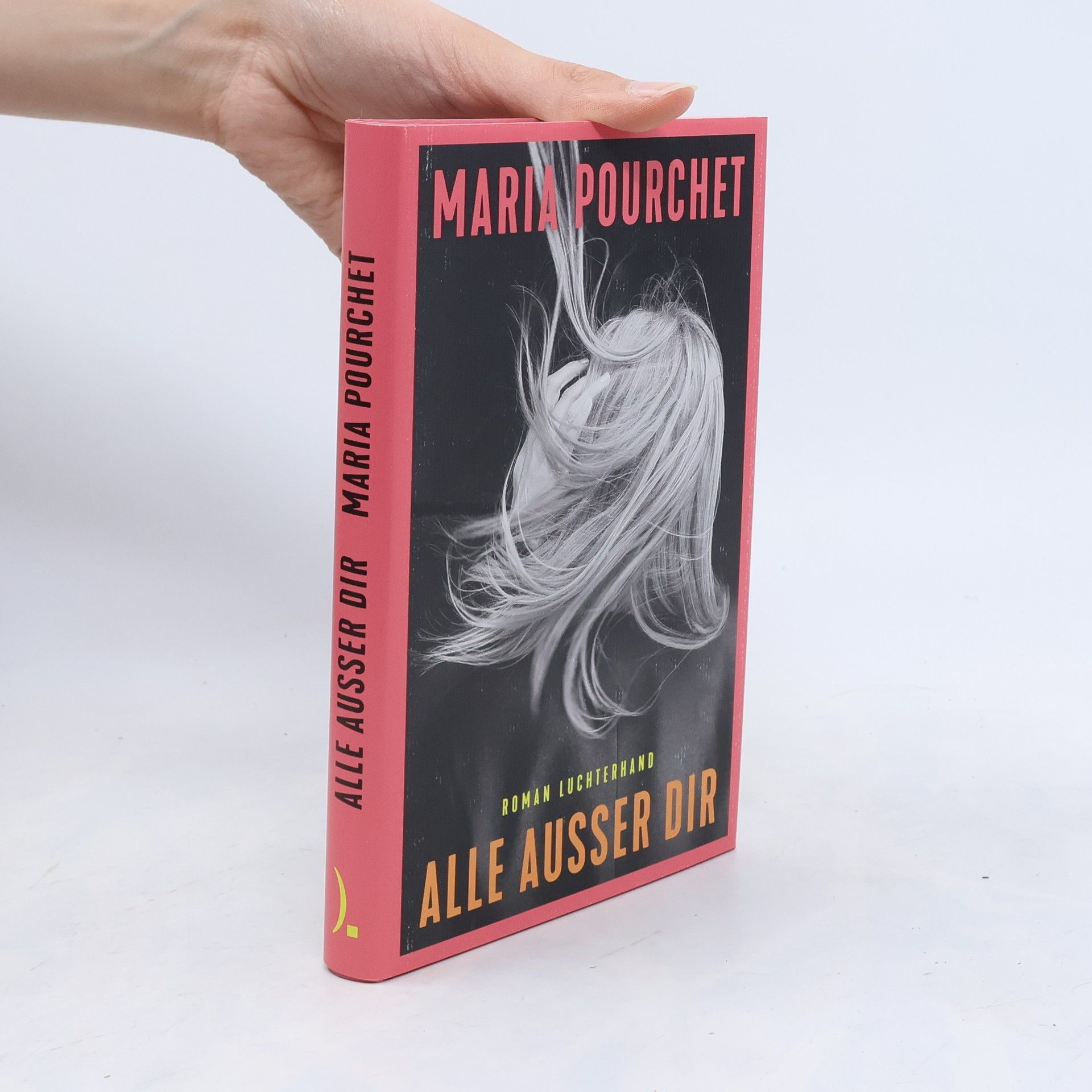 Maria Pourchet Alle außer dir. Roman