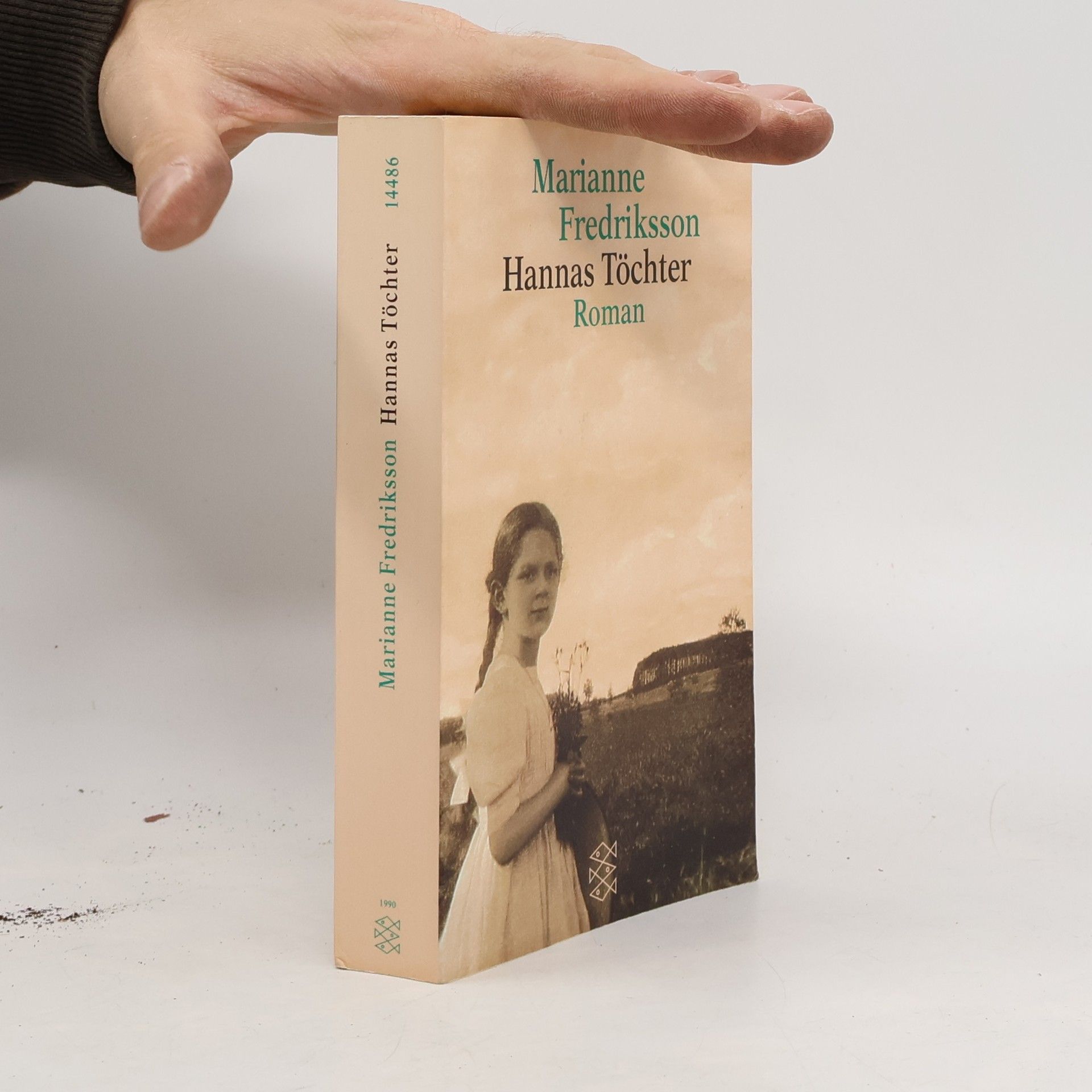 Marianne Fredriksson Hannas Töchter