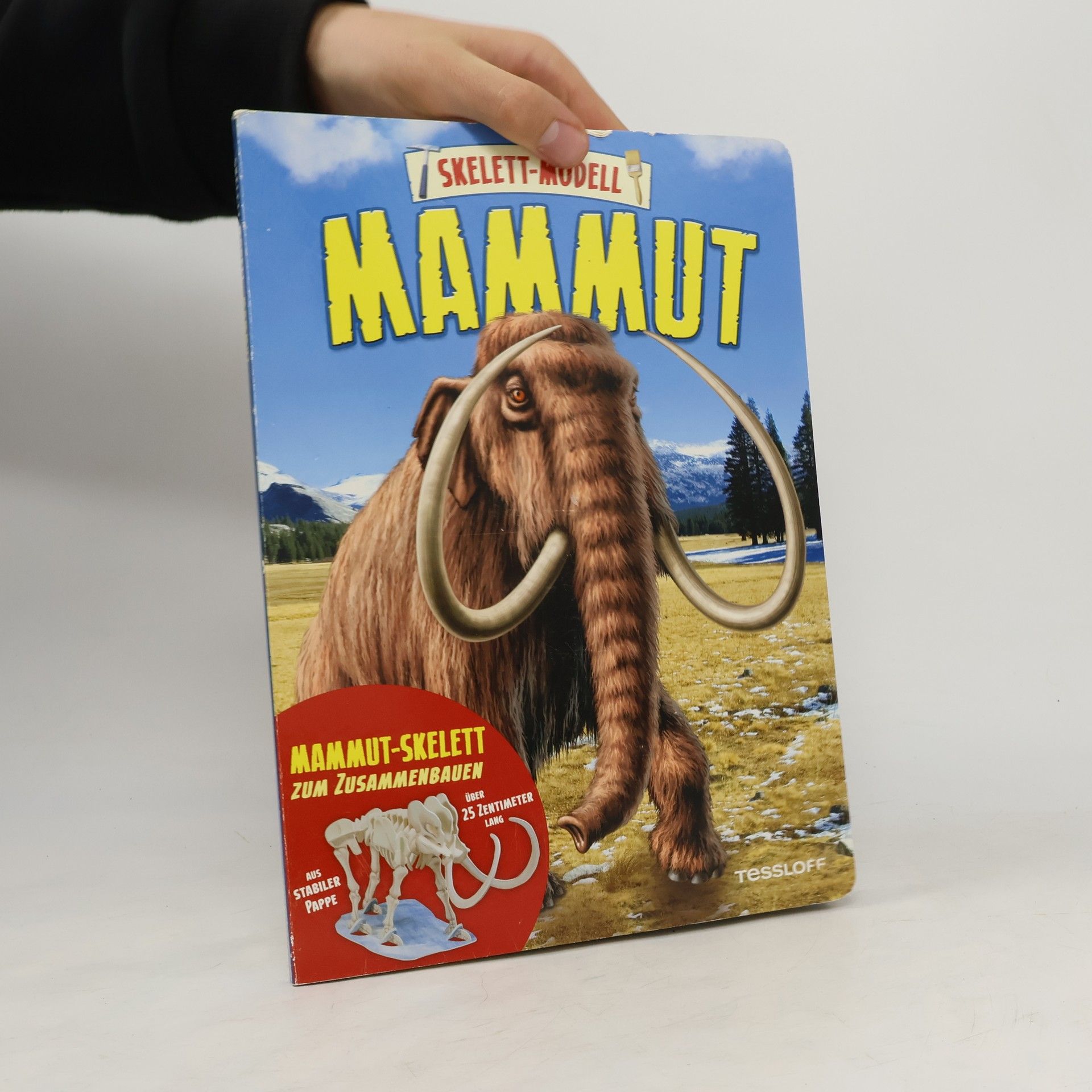 Unknown Author Skelett-Modell Mammut