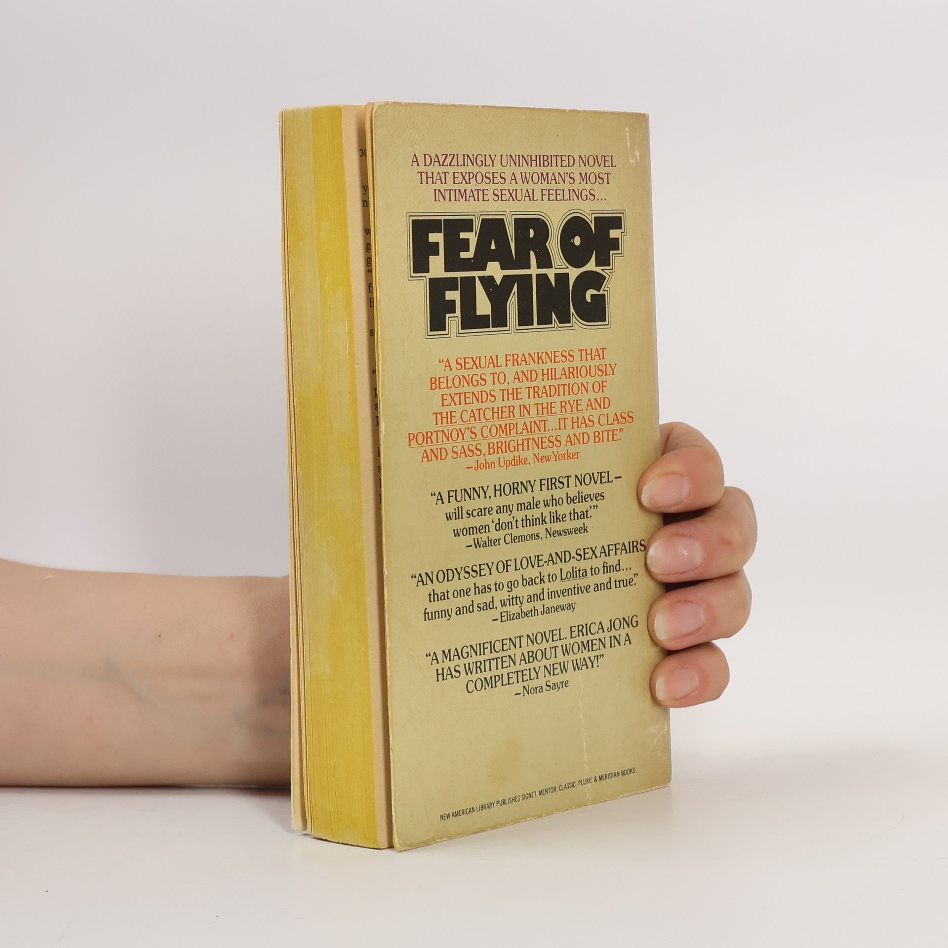 Erica Jong Fear of Flying