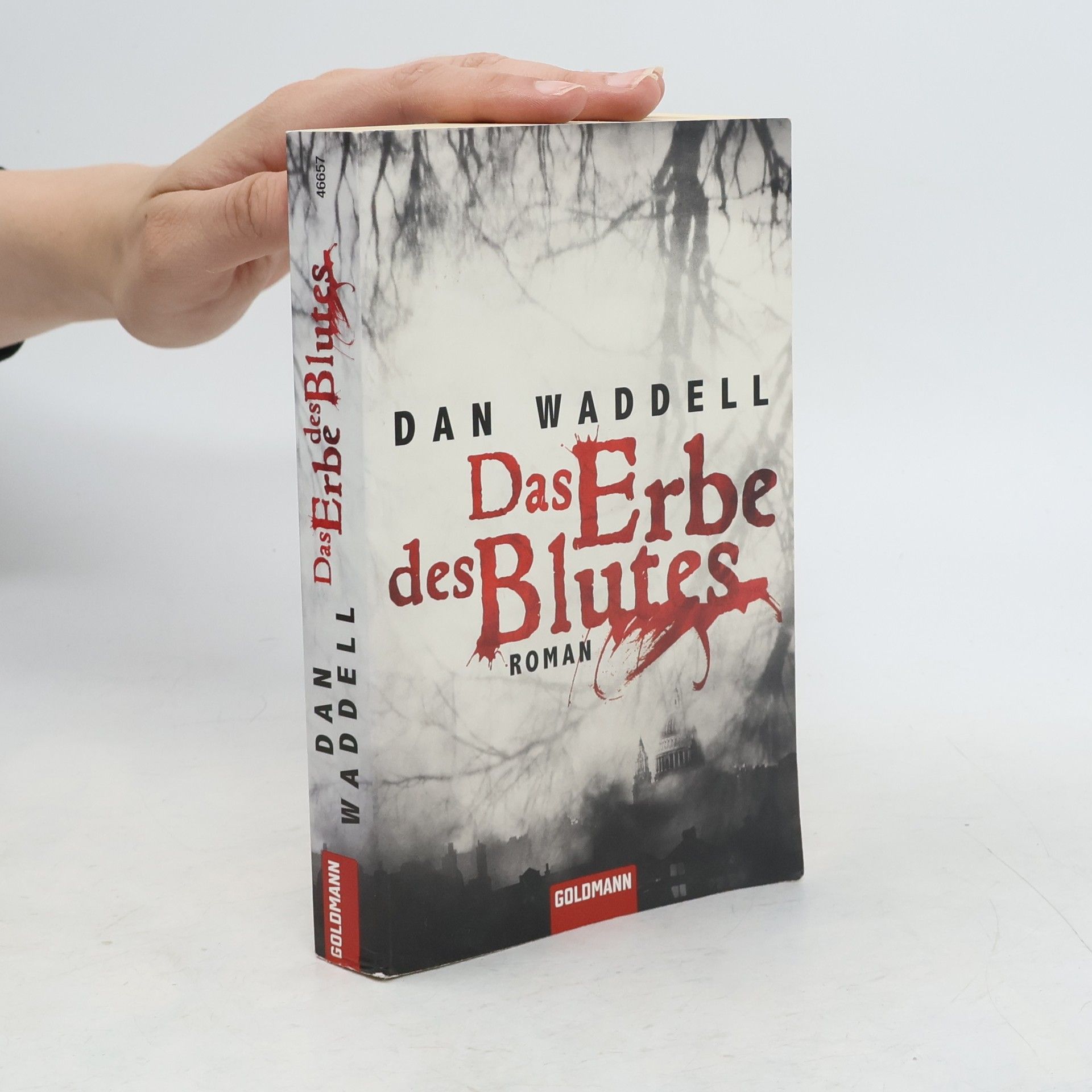 Dan Waddell Das Erbe des Blutes