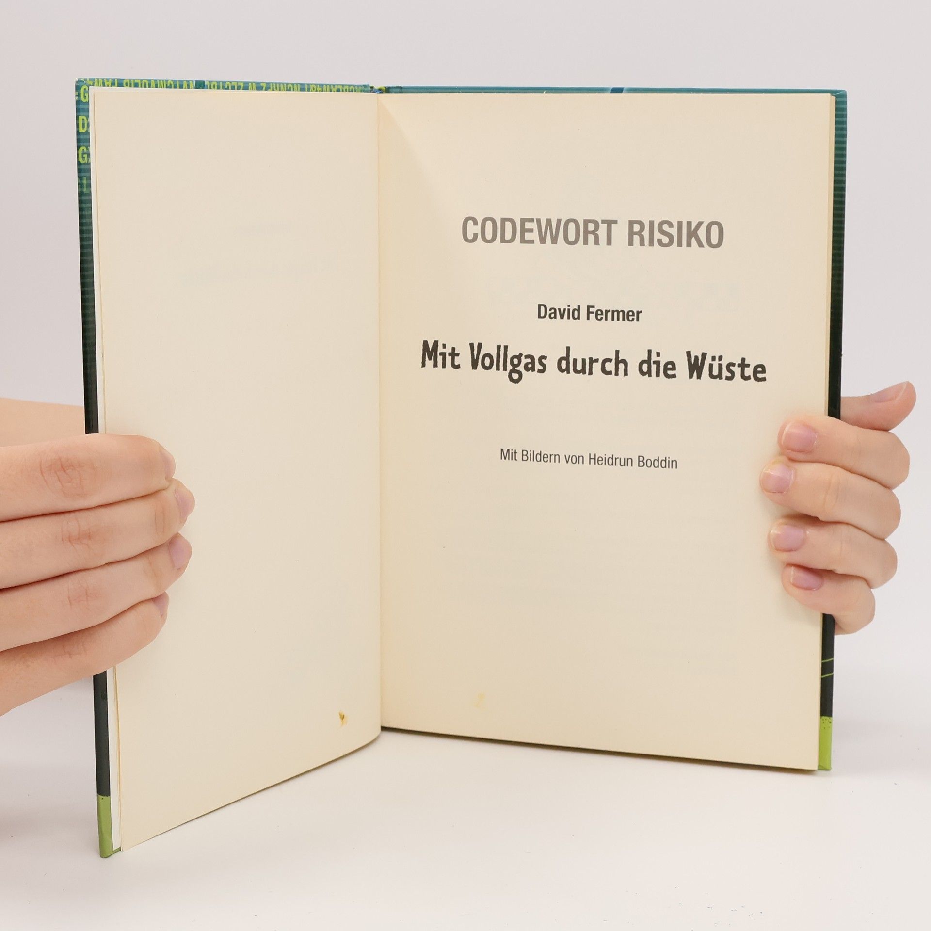 David Fermer Mit Vollgas durch die Wüste
