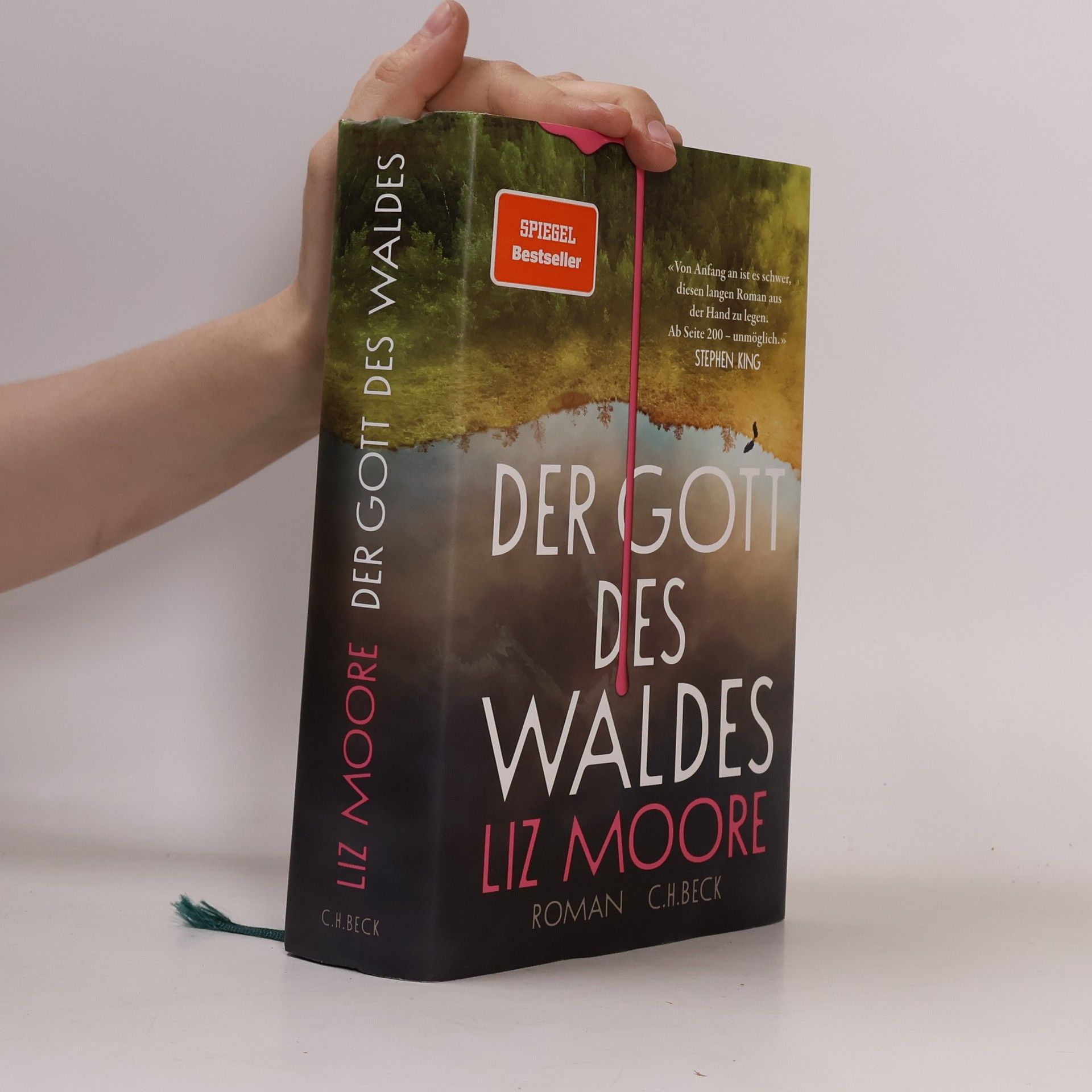 Liz Moore Der Gott des Waldes