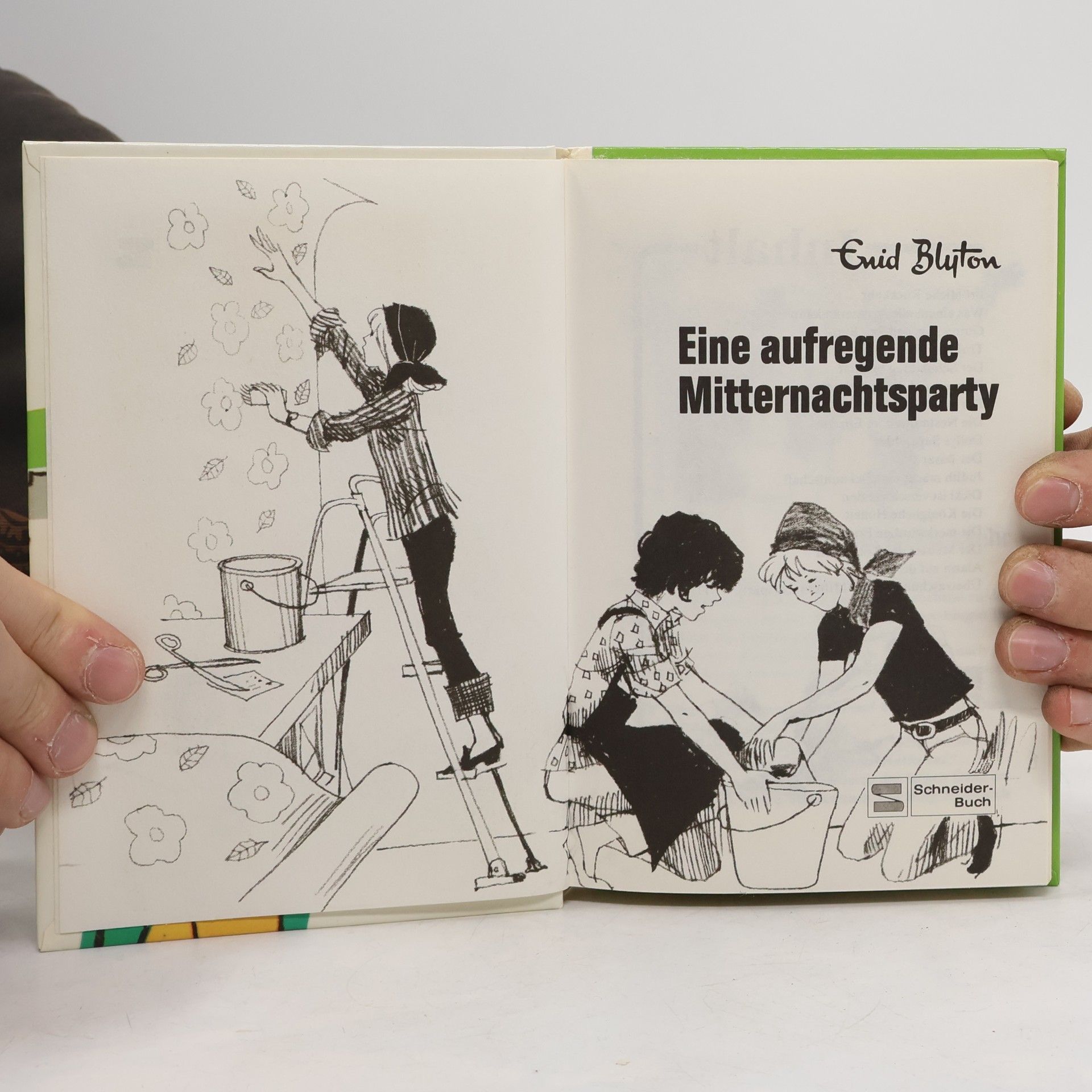 Enid Blyton Dolly 8. Eine Mitternachtsparty