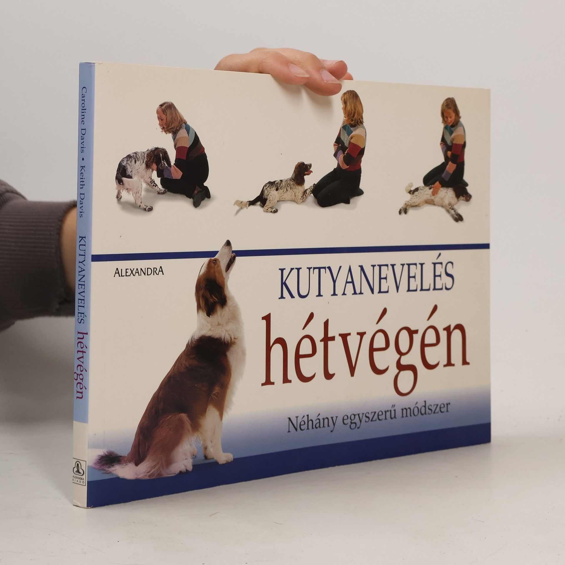 Caroline Davis Kutyanevelés hétvégén