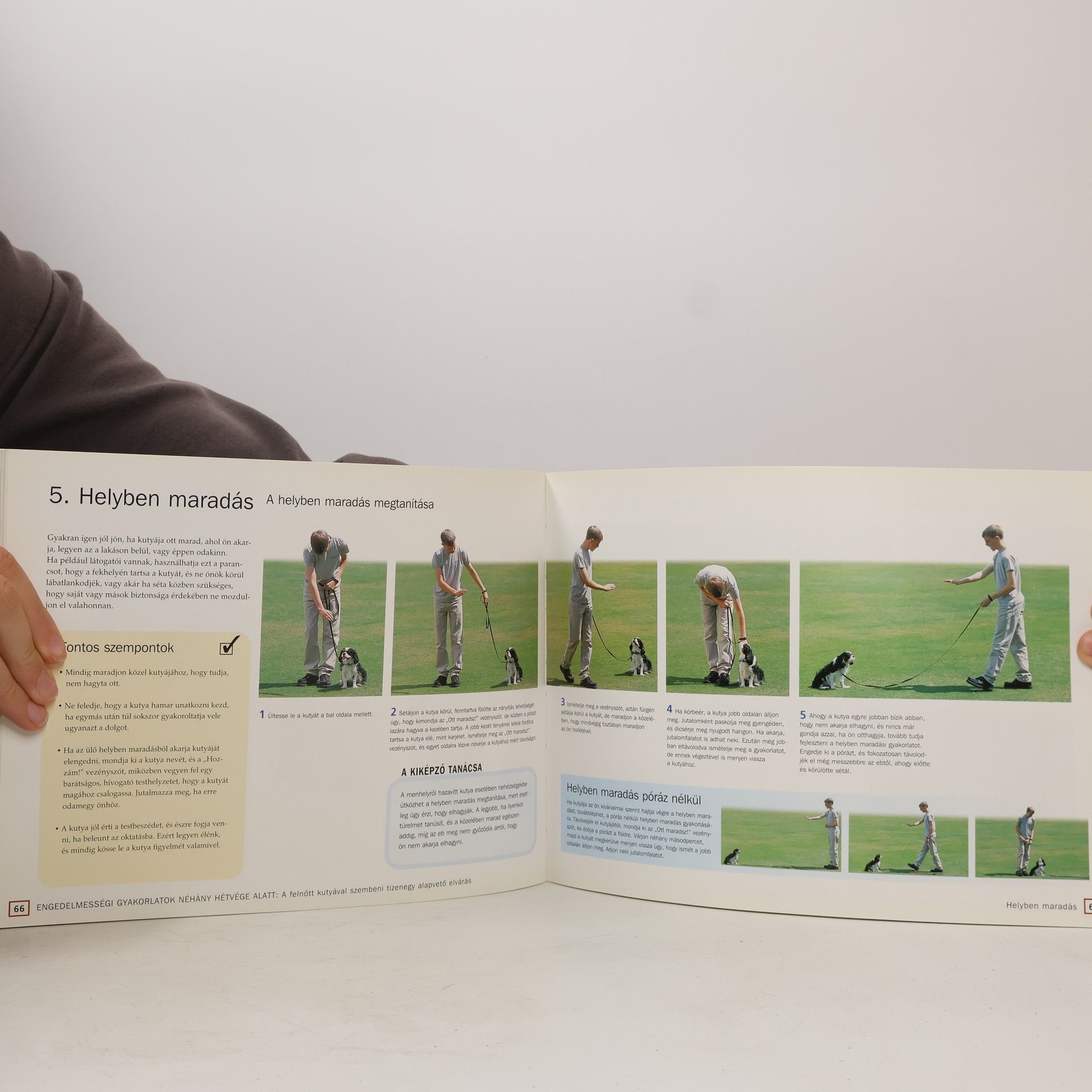 Caroline Davis Kutyanevelés hétvégén