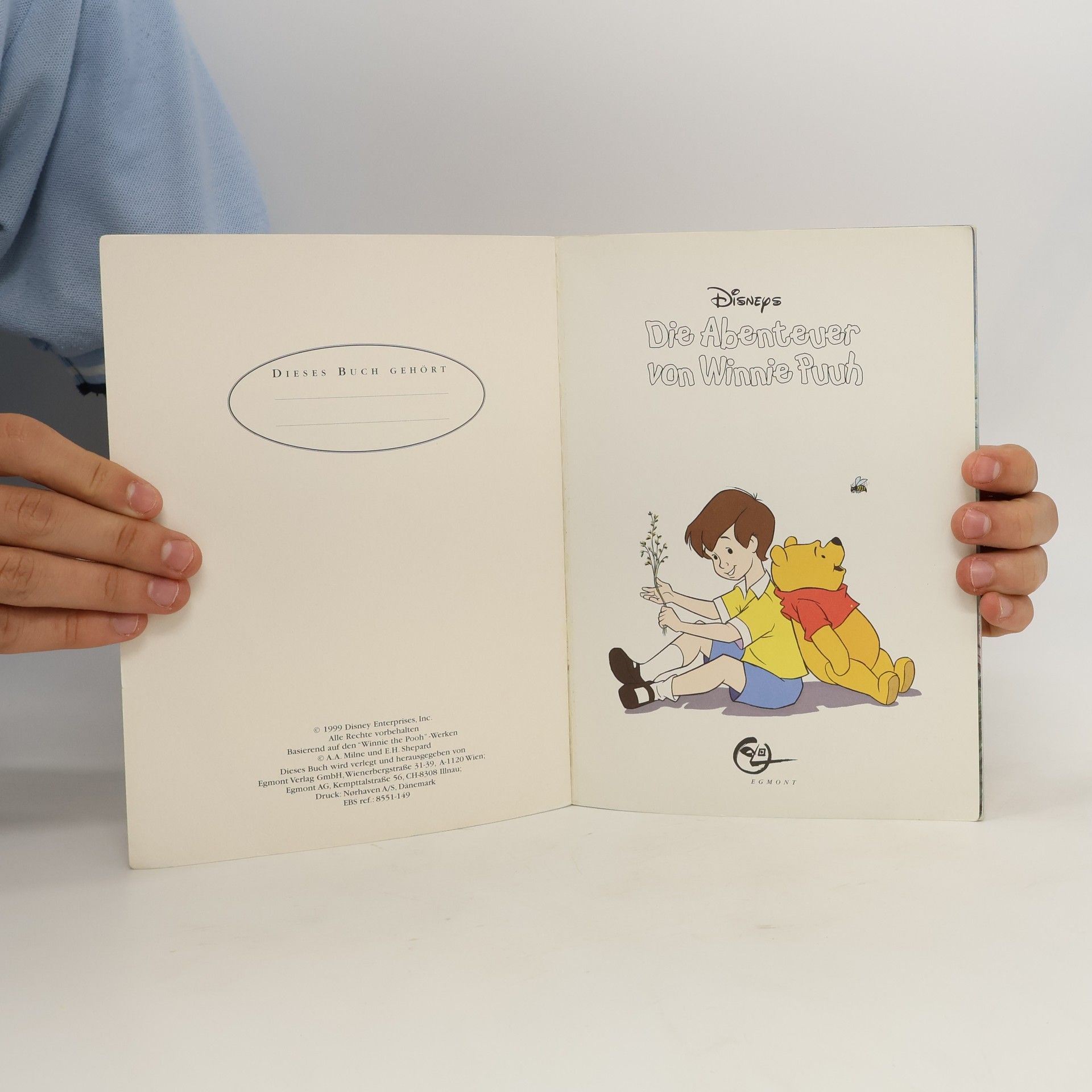 Walt Disney Die Abenteuer von Winnie Puuh. Nr. 10