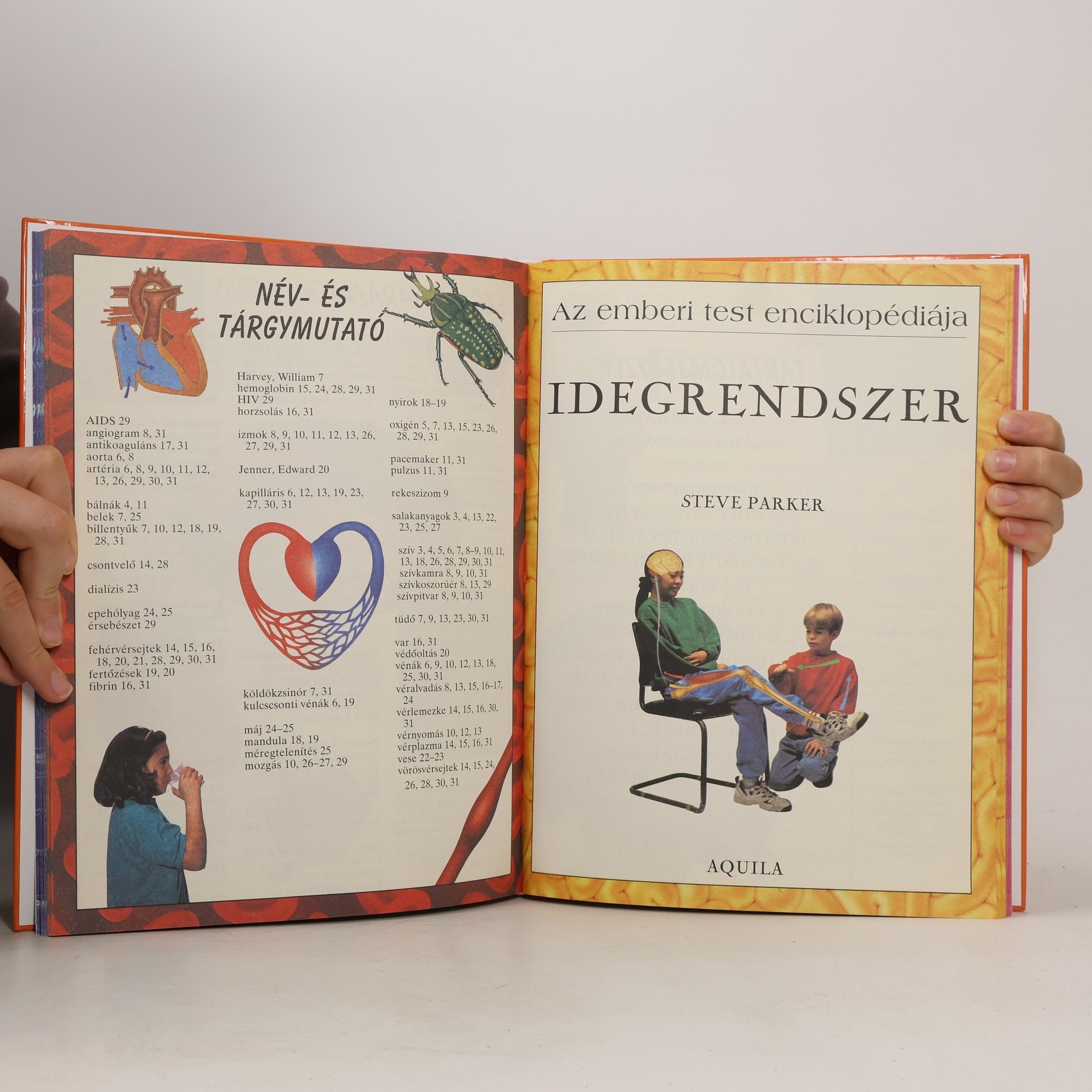Peter Bull Associates Az Emberi Test Enciklopédiája II