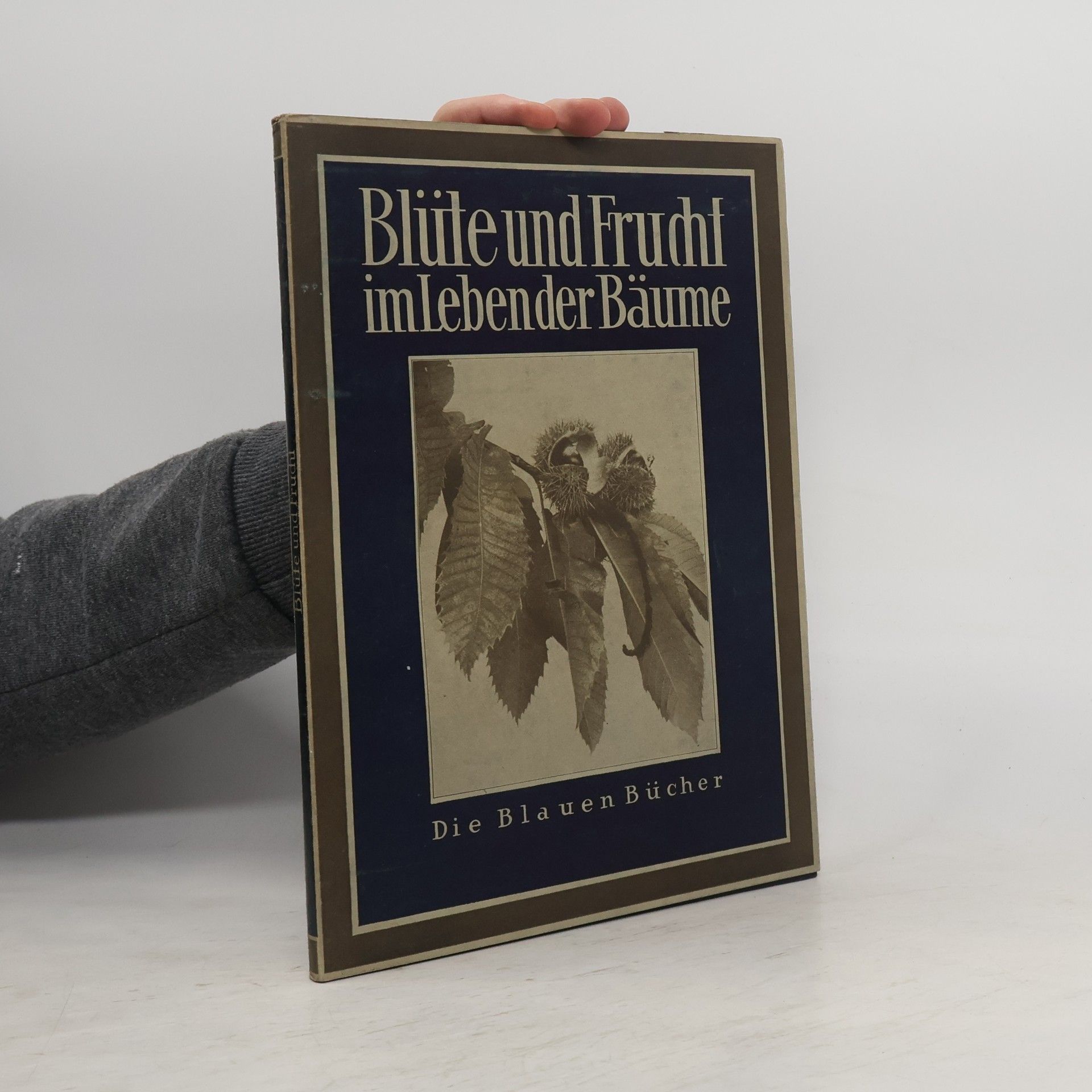 Blüte und Frucht im Leben der Bäume