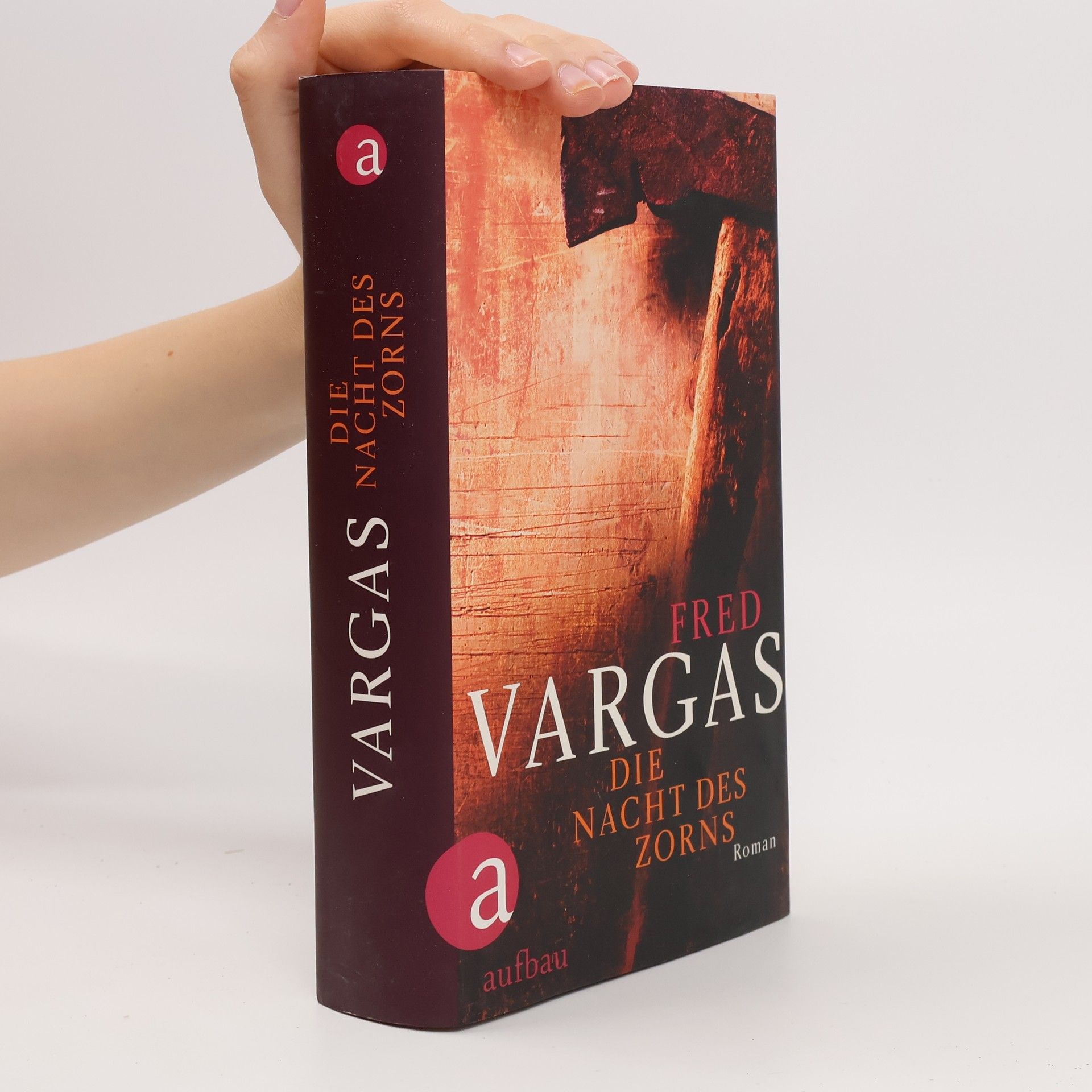 Fred Vargas Die Nacht des Zorns