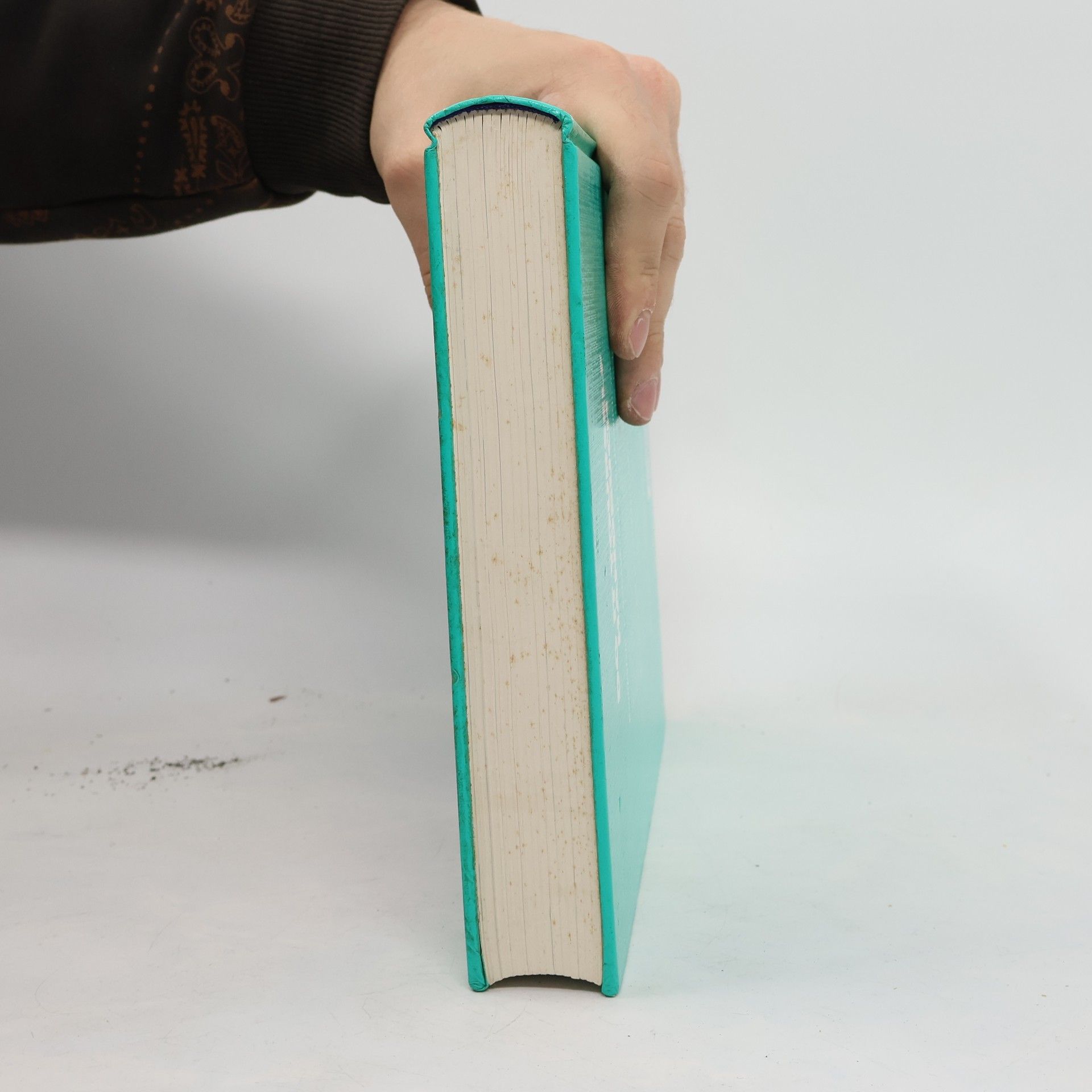 Walter Diem Das neue Do-it-yourself-Handbuch