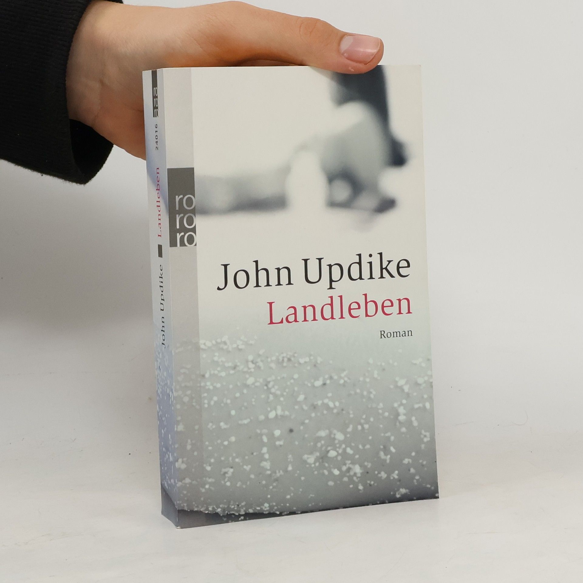 John Updike Landleben: Roman