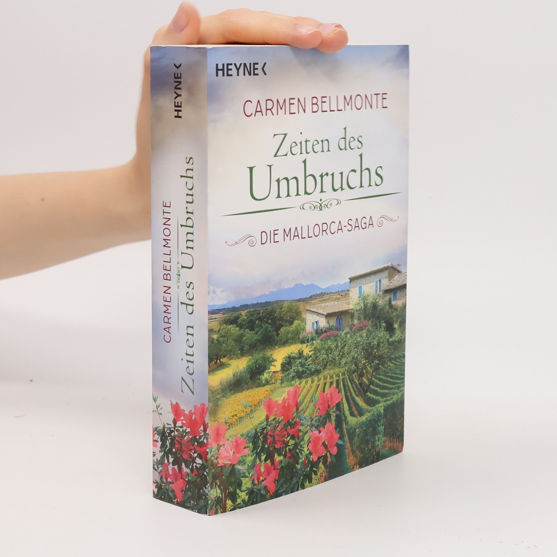 Carmen Bellmonte Zeiten des Umbruchs