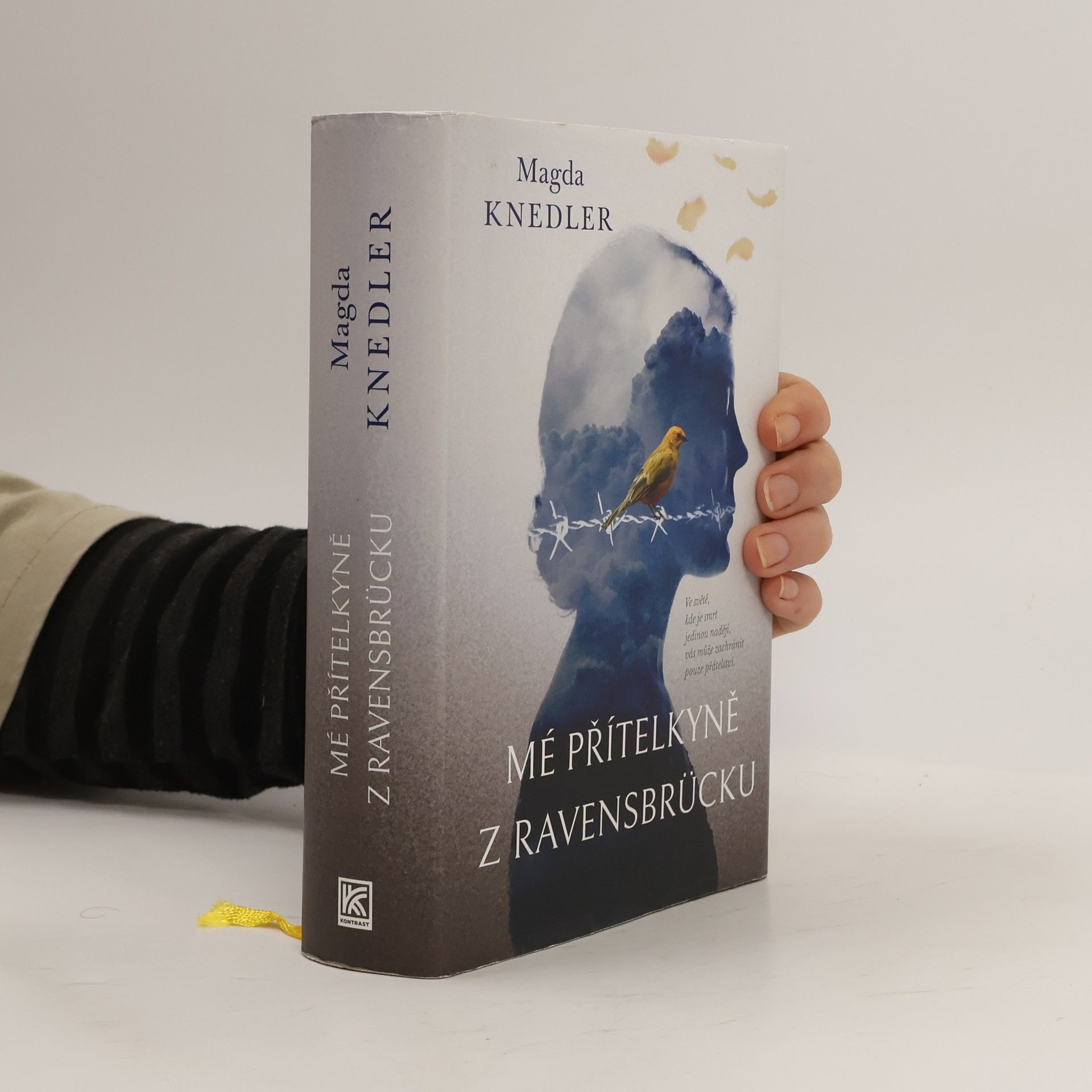 Magdalena Knedler Mé přítelkyně z Ravensbrücku