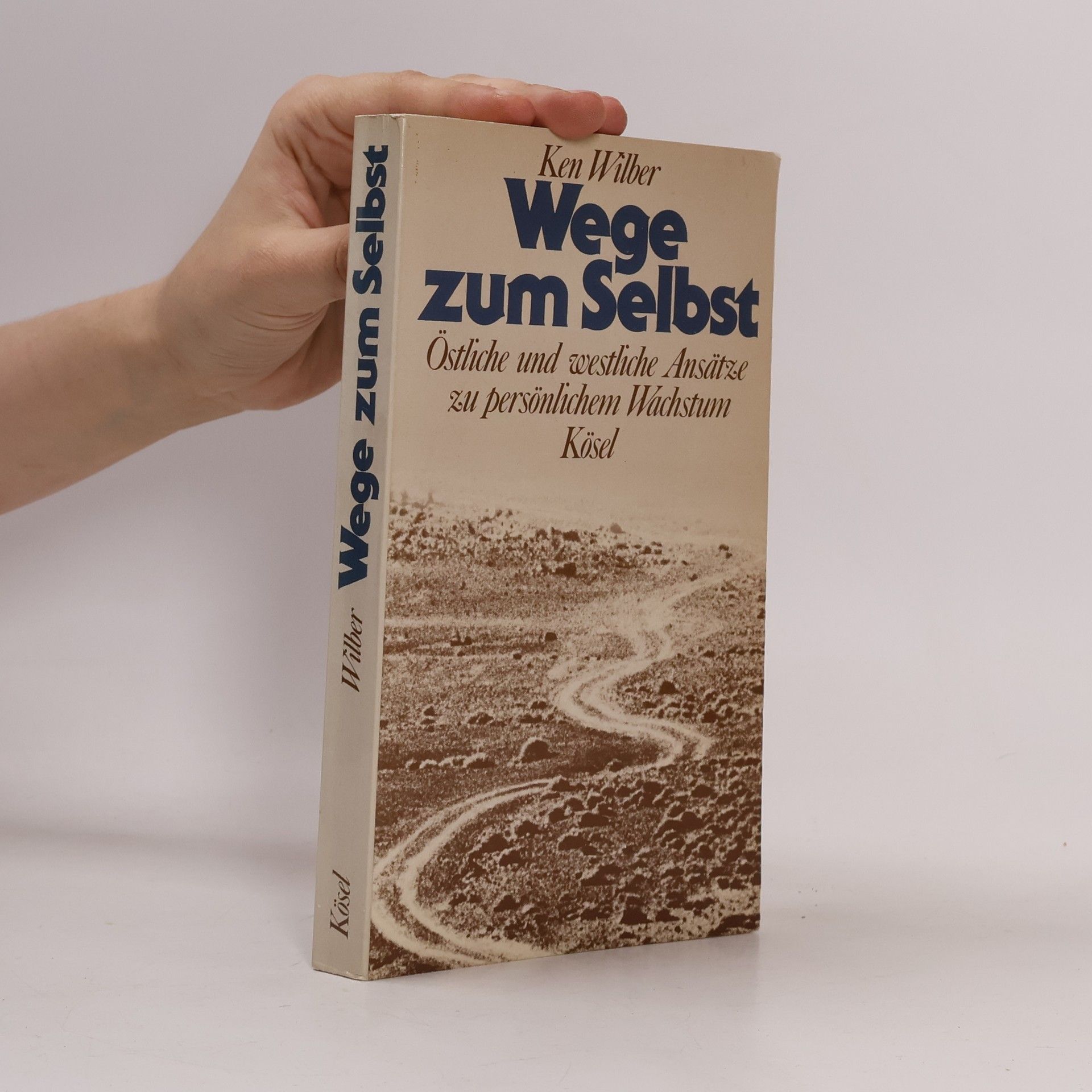 Ken Wilber Wege zum Selbst