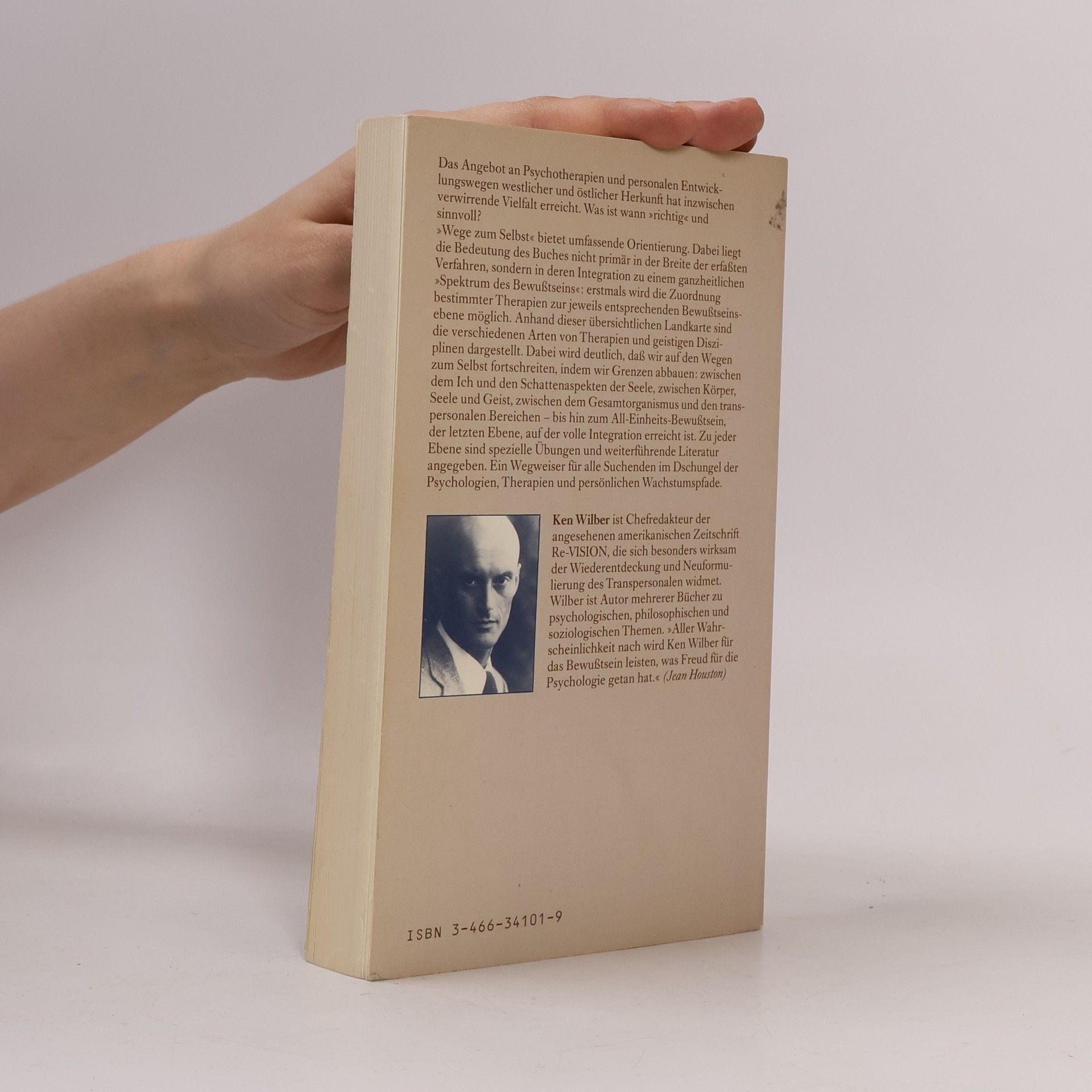 Ken Wilber Wege zum Selbst