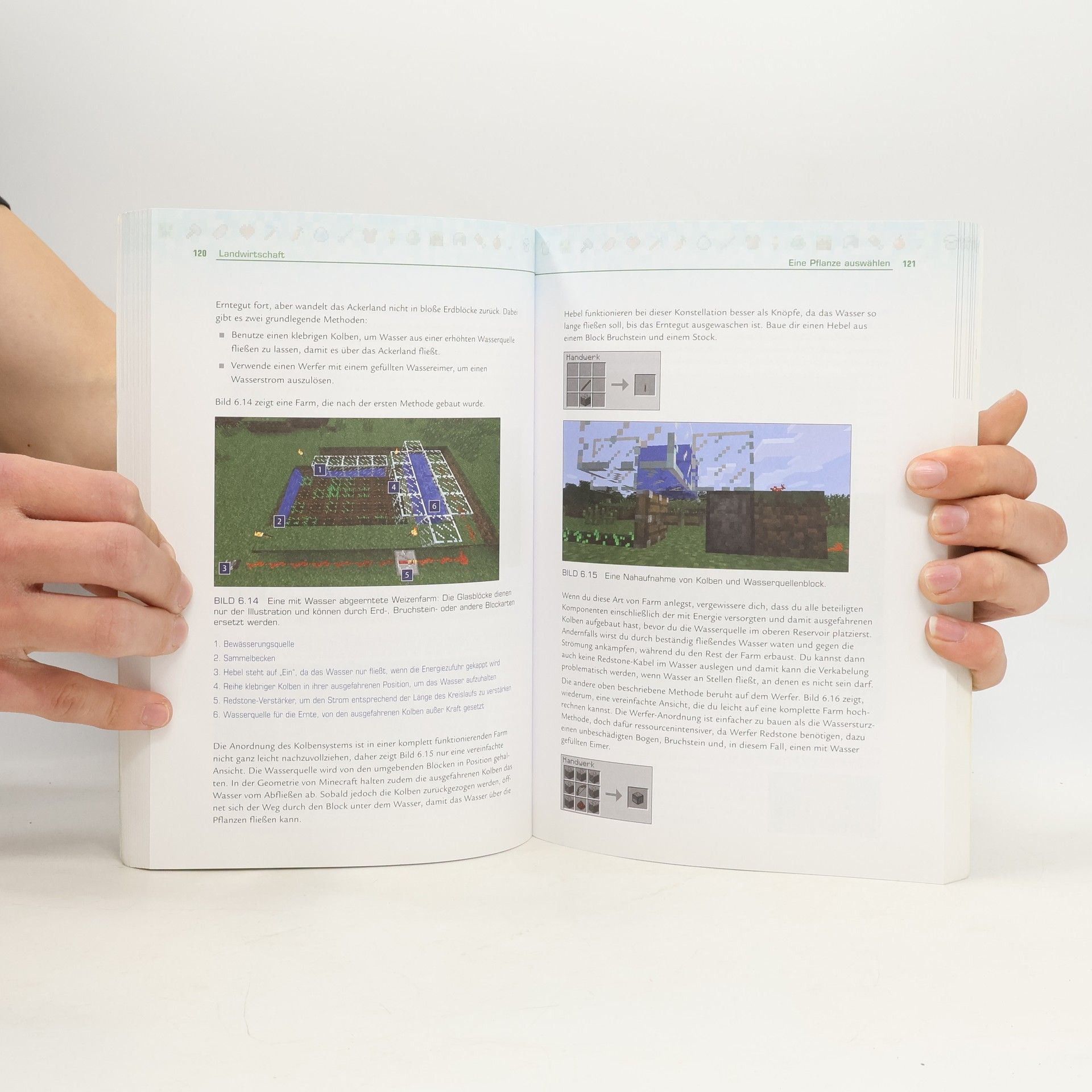 Stephen O. Brien Das große Minecraft-Buch