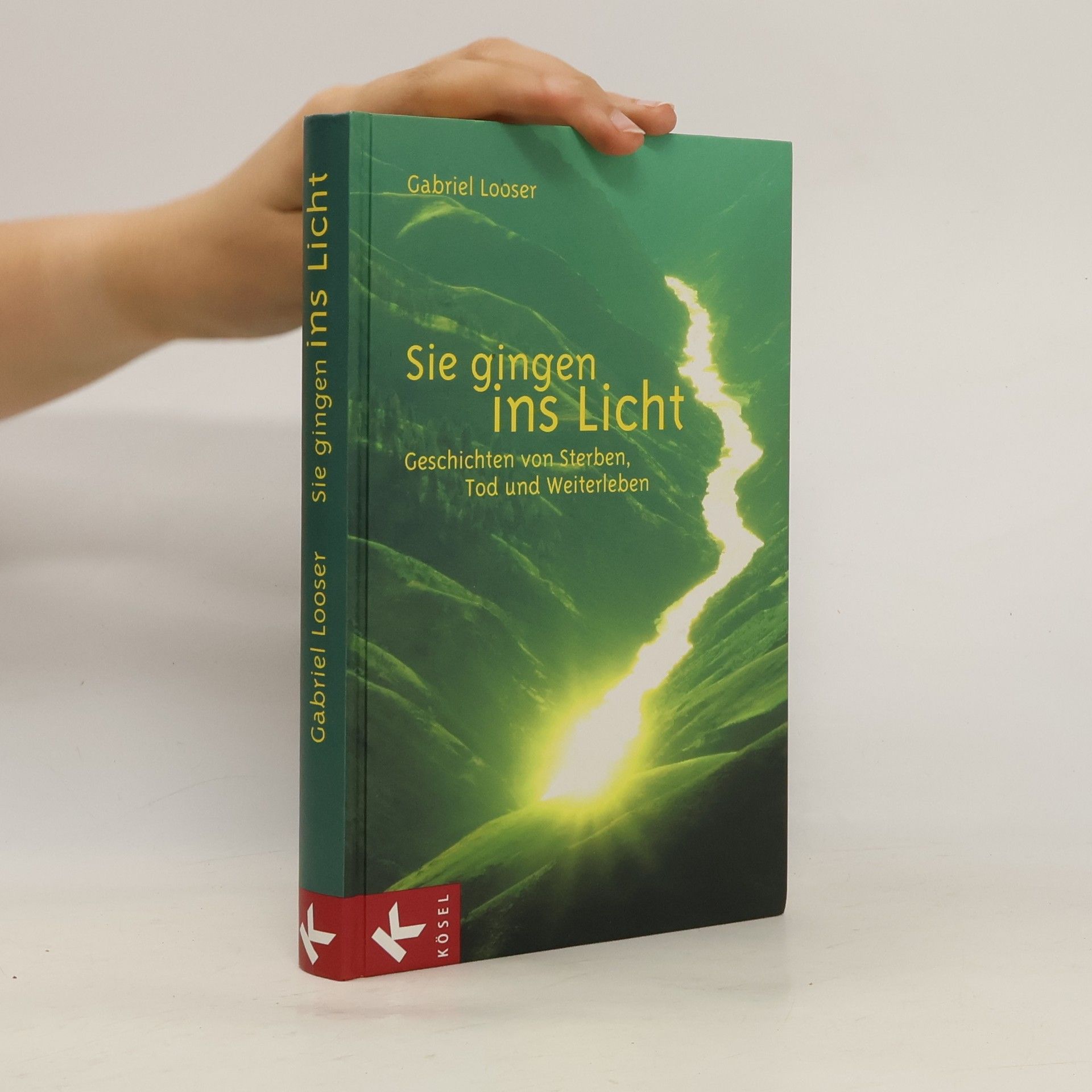 Gabriel Looser Sie gingen ins Licht