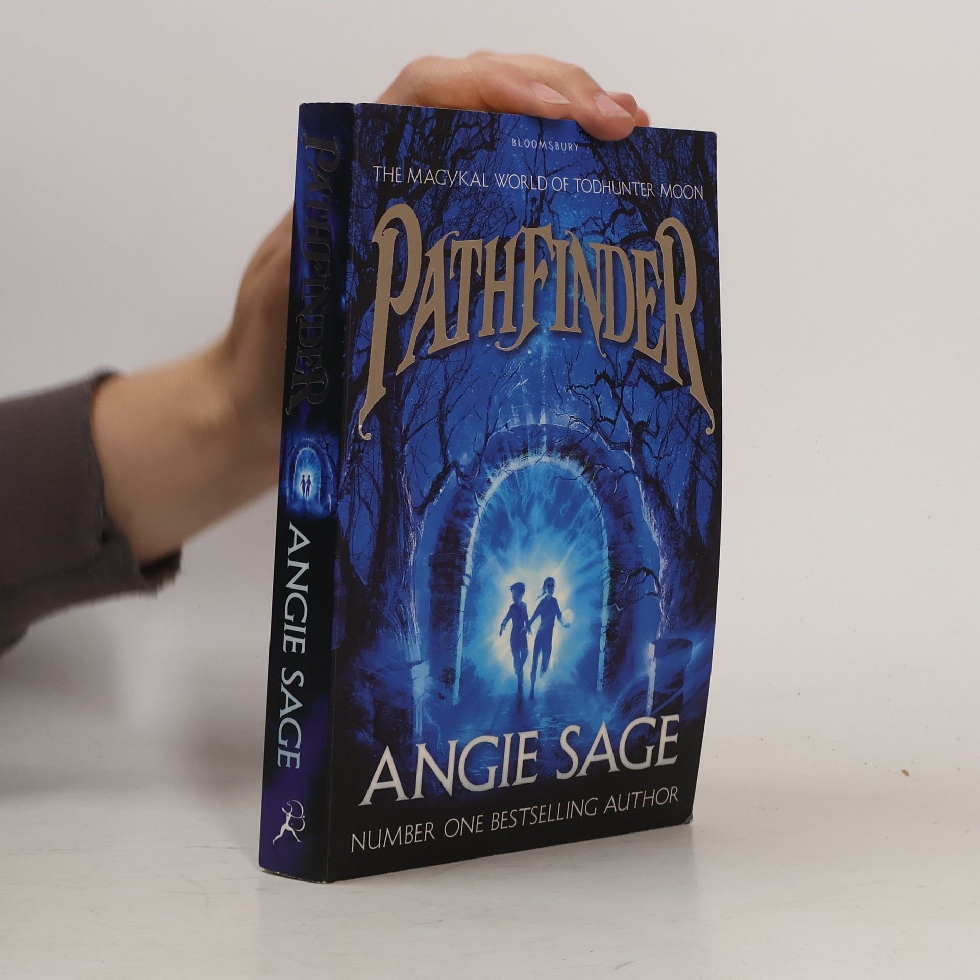 Angie Sage PathFinder