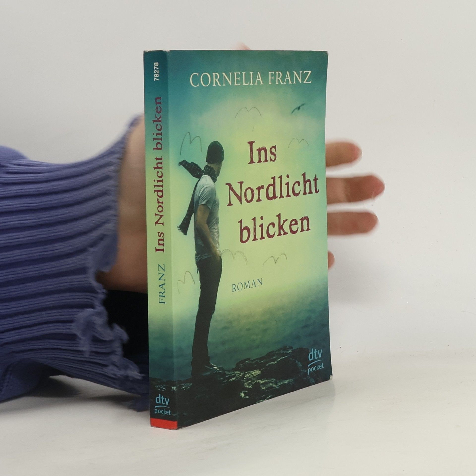 Cornelia Franz Ins Nordlicht blicken