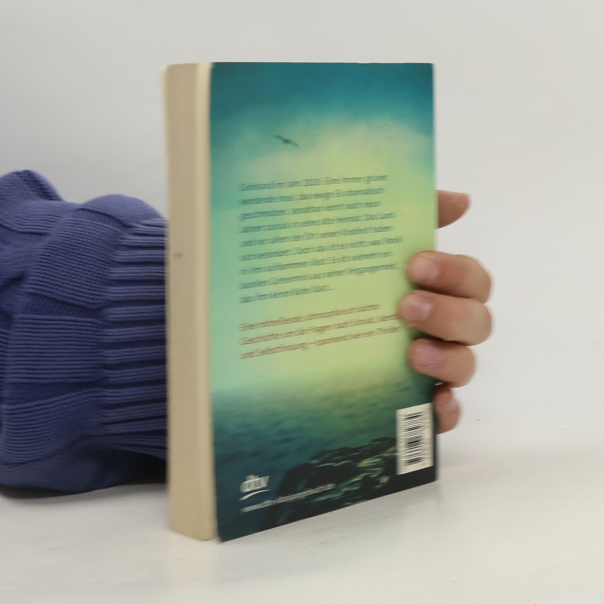 Cornelia Franz Ins Nordlicht blicken