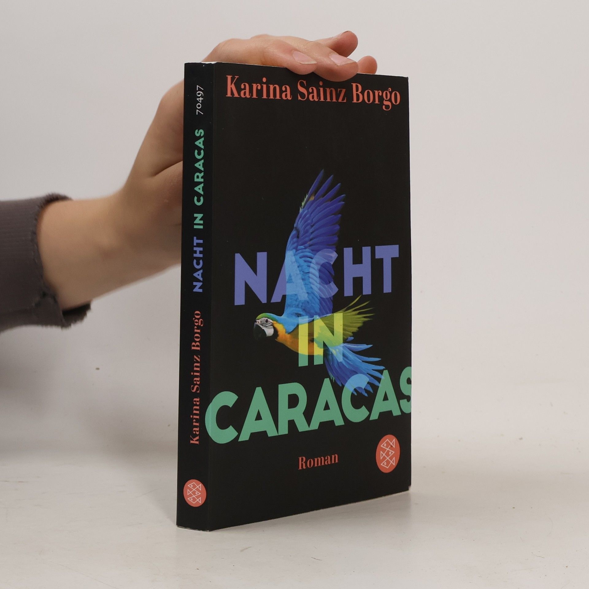 Karina Sainz Borgo Nacht in Caracas
