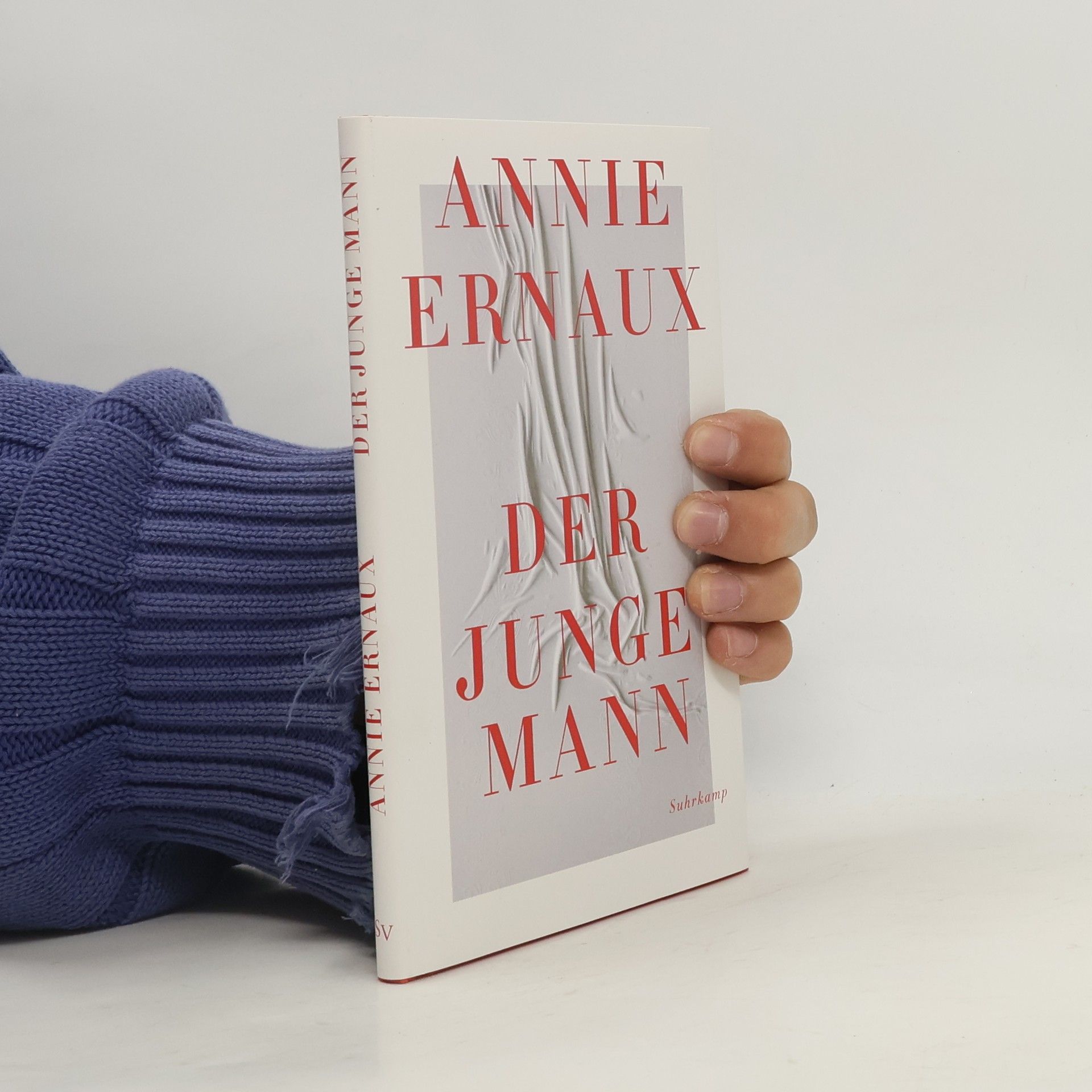 Annie Ernaux Der junge Mann