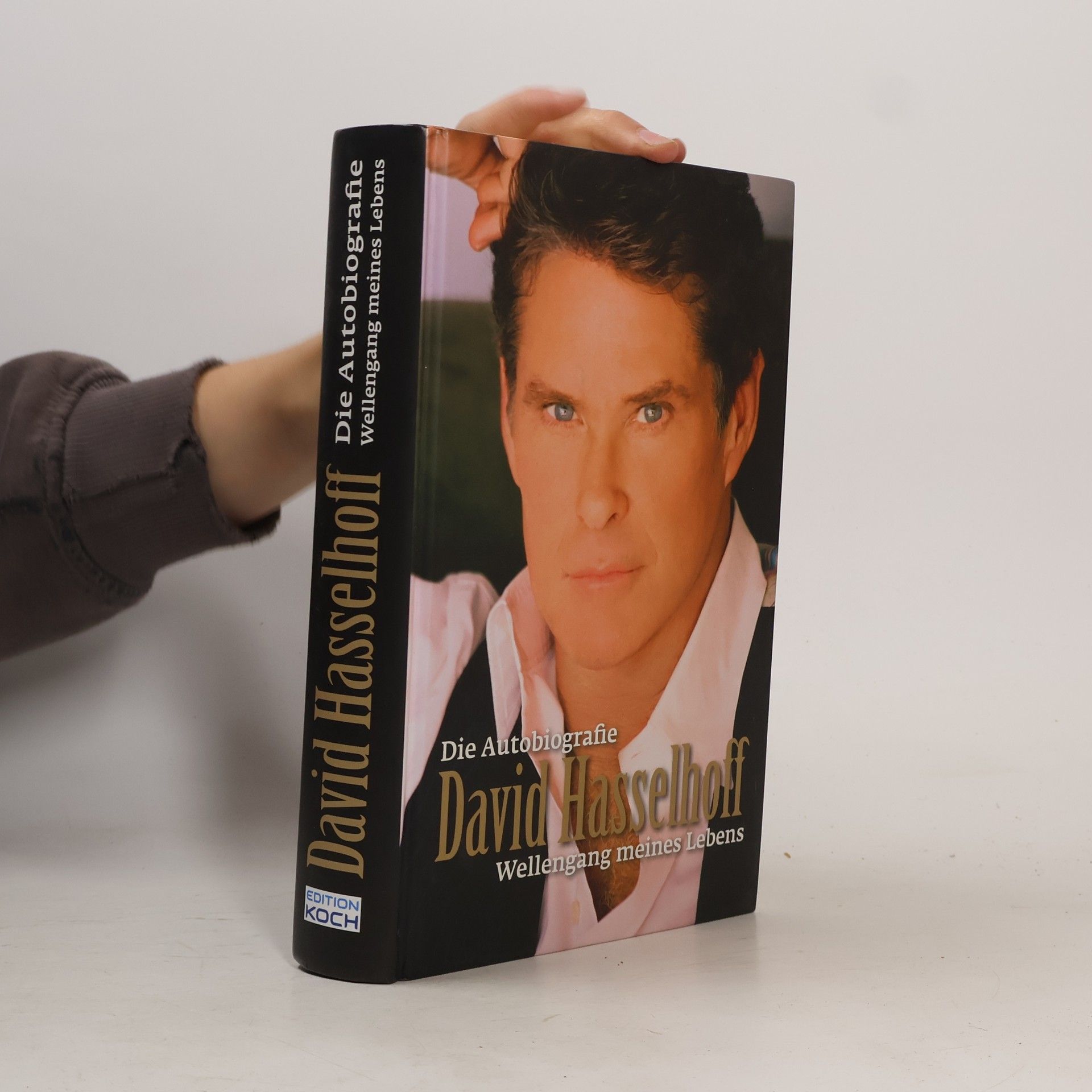 David Hasselhoff David Hasselhoff: Wellengang meines Lebens