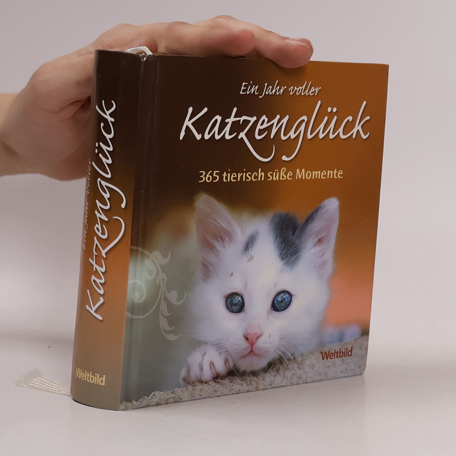 Kolektiv autorů Ein Jahr voller Katzenglück