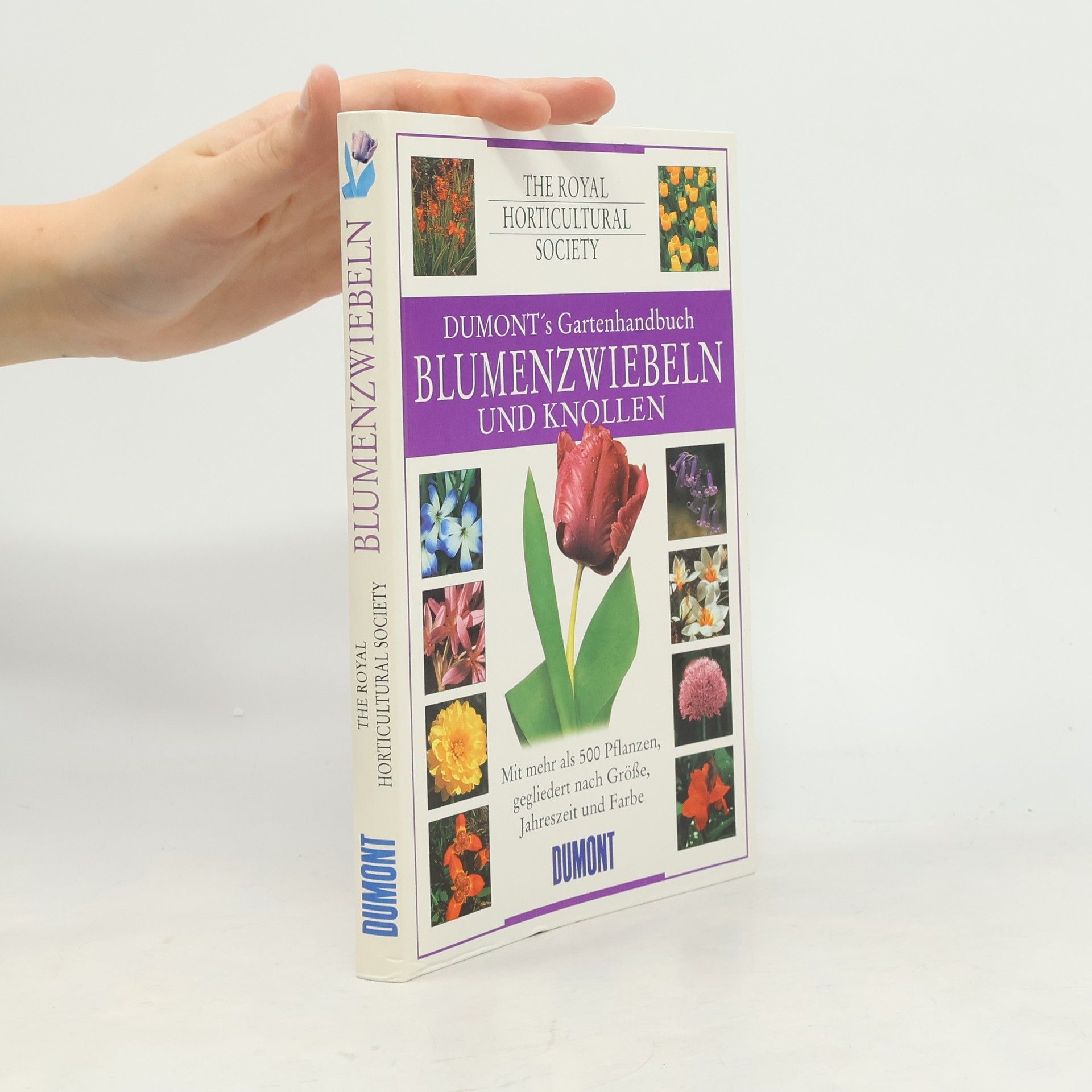 Susanne Vogel Blumenzwiebeln und Knollen