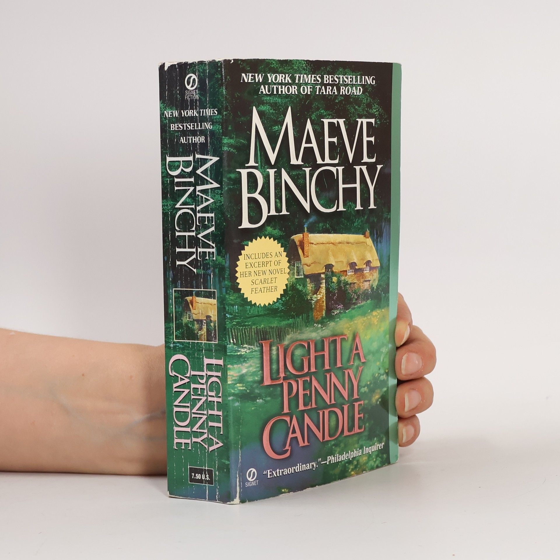 Maeve Binchy Light a Penny Candle