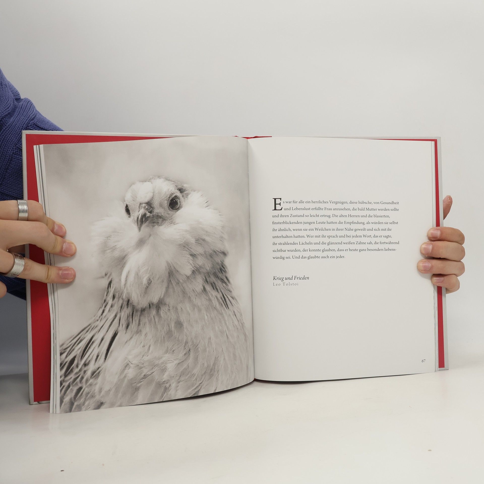 Beth Moon Literarische Hühner