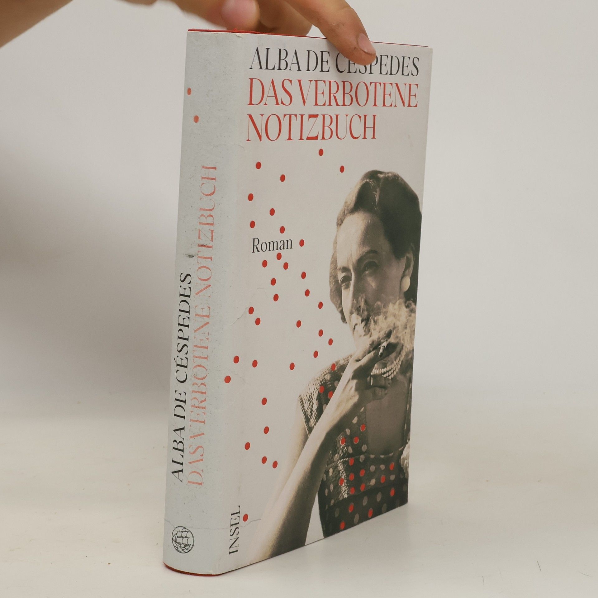 Alba de Céspedes Das verbotene Notizbuch