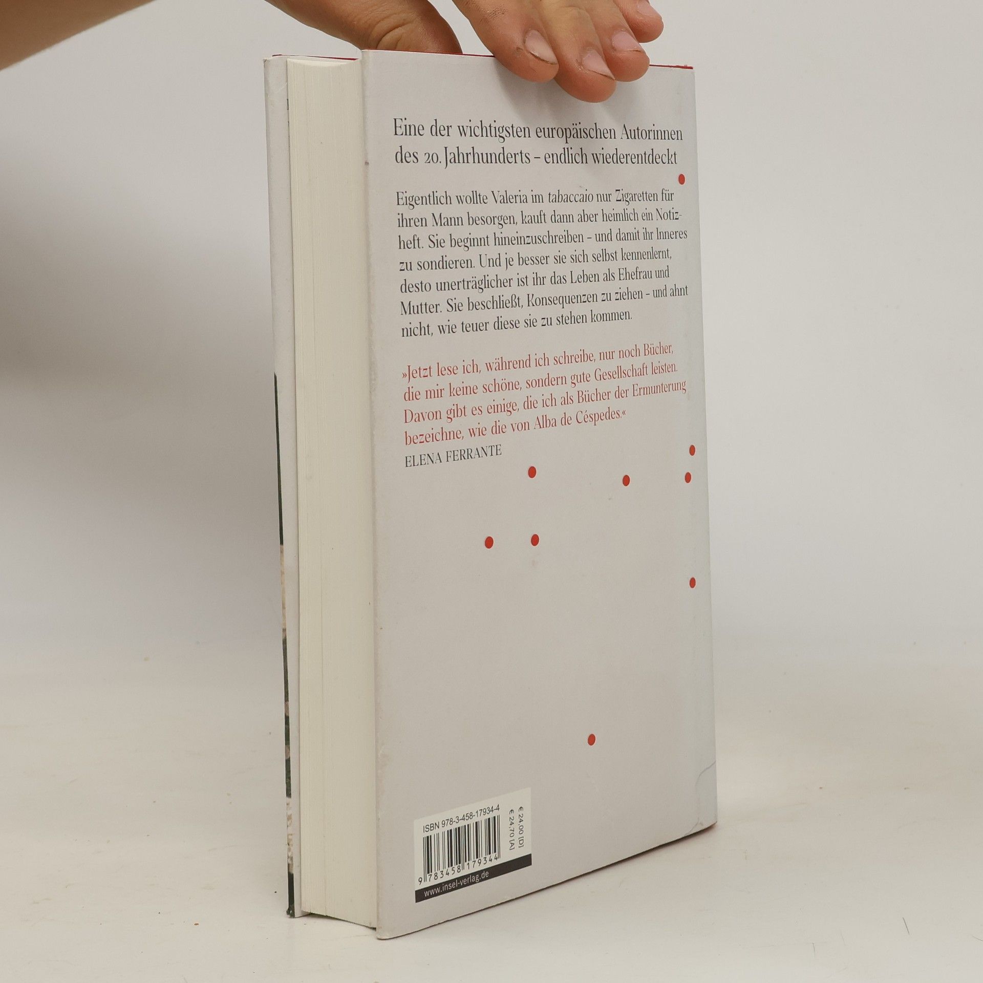 Alba De Céspedes Das verbotene Notizbuch
