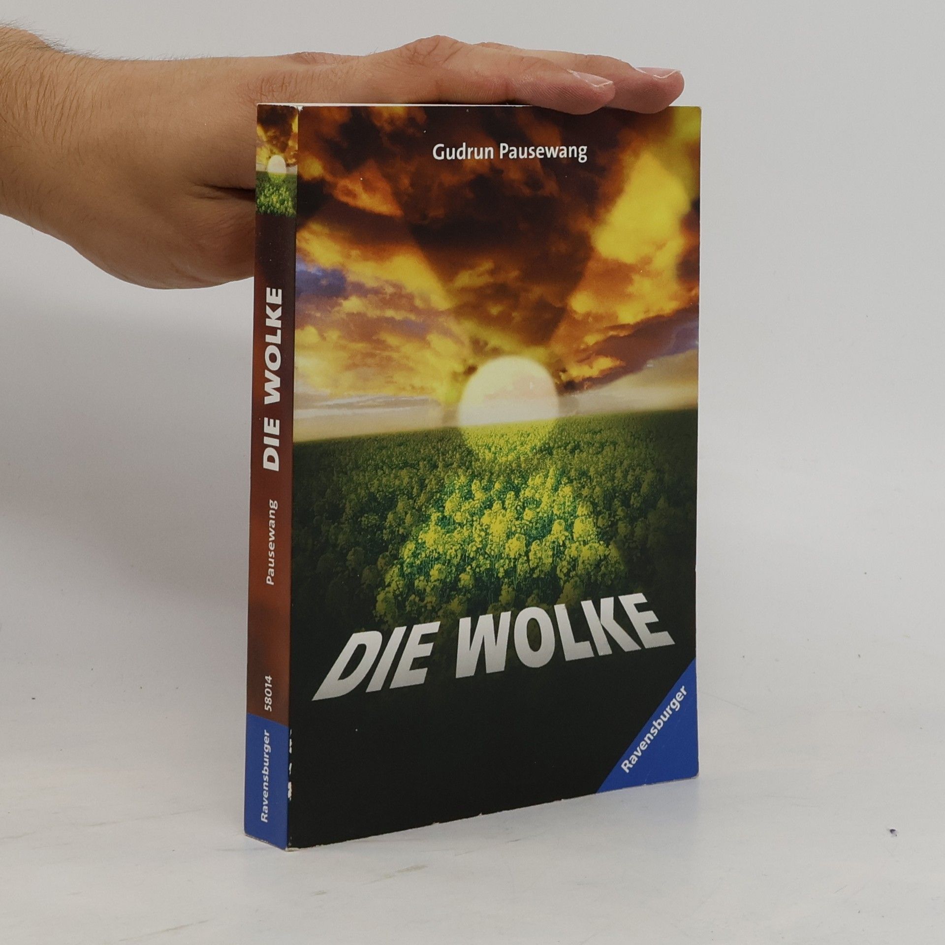Gudrun Pausewang Die Wolke