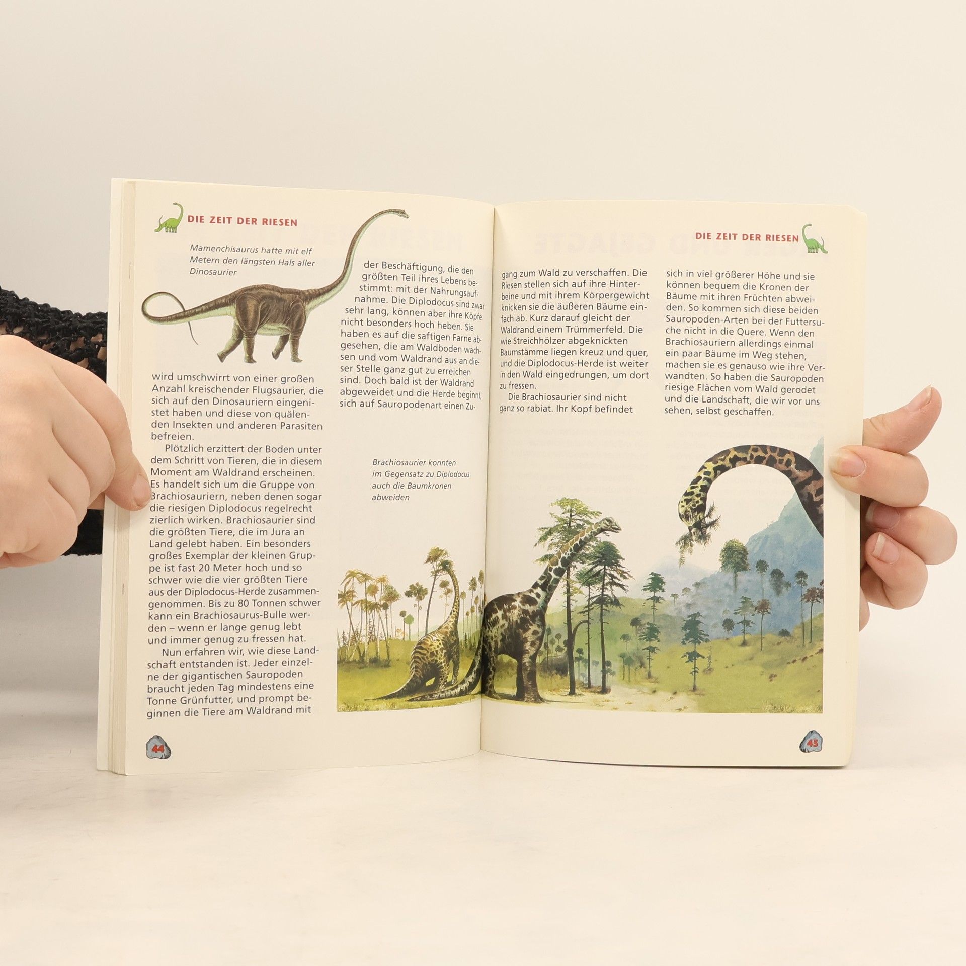 Autorenkollektiv Die Welt der Urzeit