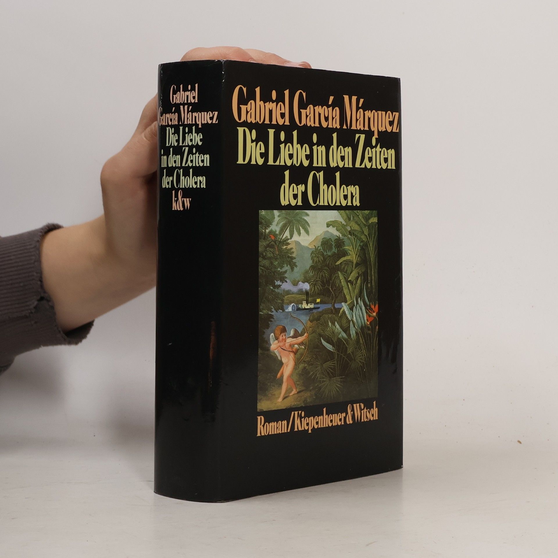 Gabriel García Márquez Die Liebe in den Zeiten der Cholera