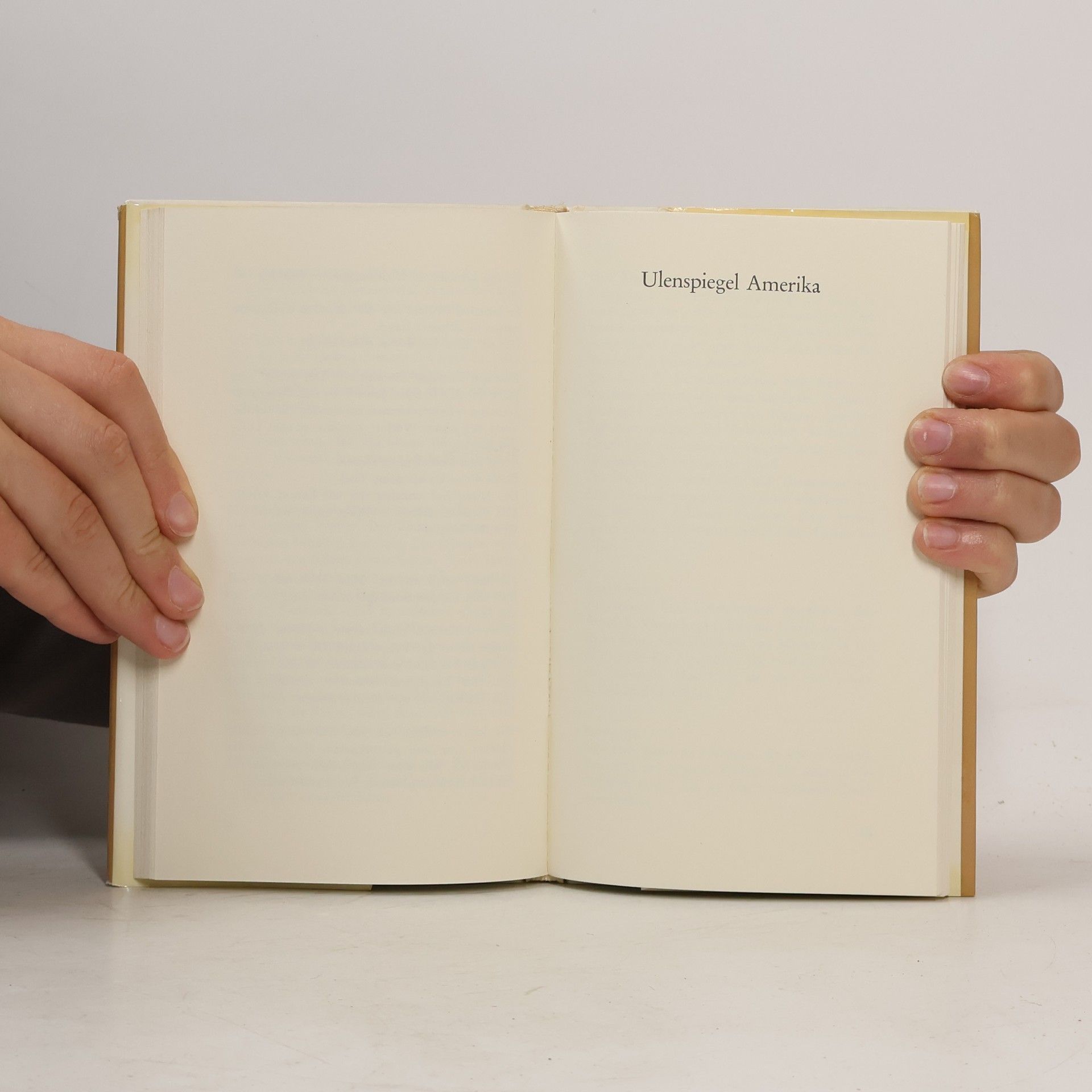 Peter Rosei Der Fluß der Gedanken durch den Kopf: Logbücher