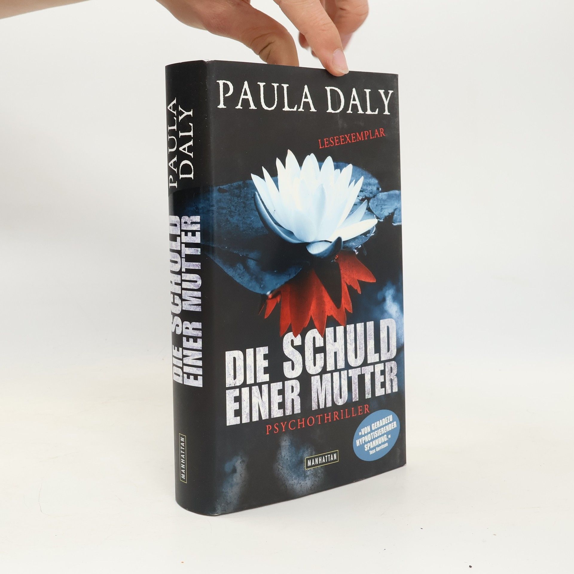 Paula Daly Die Schuld einer Mutter