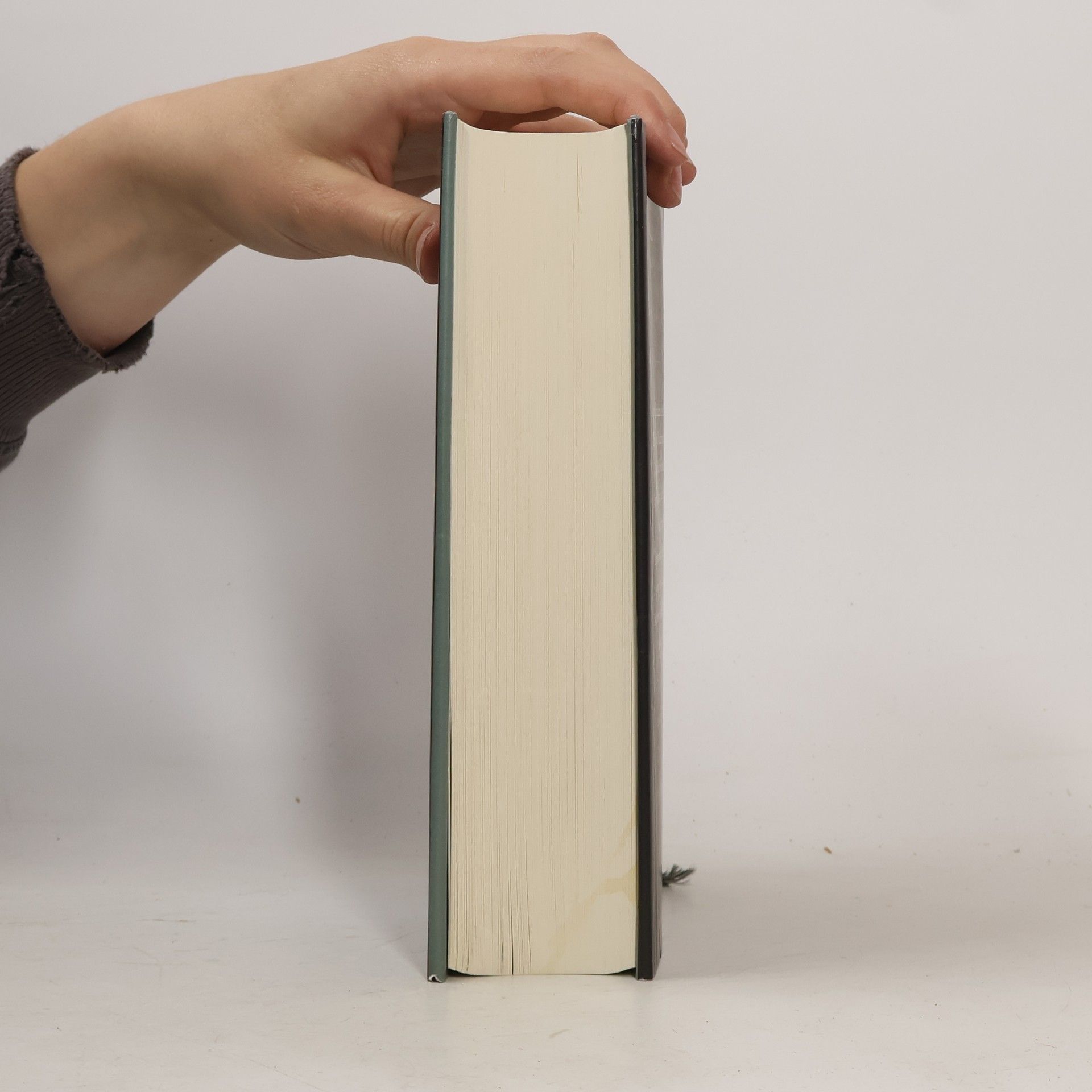 Jonathan Franzen Freiheit