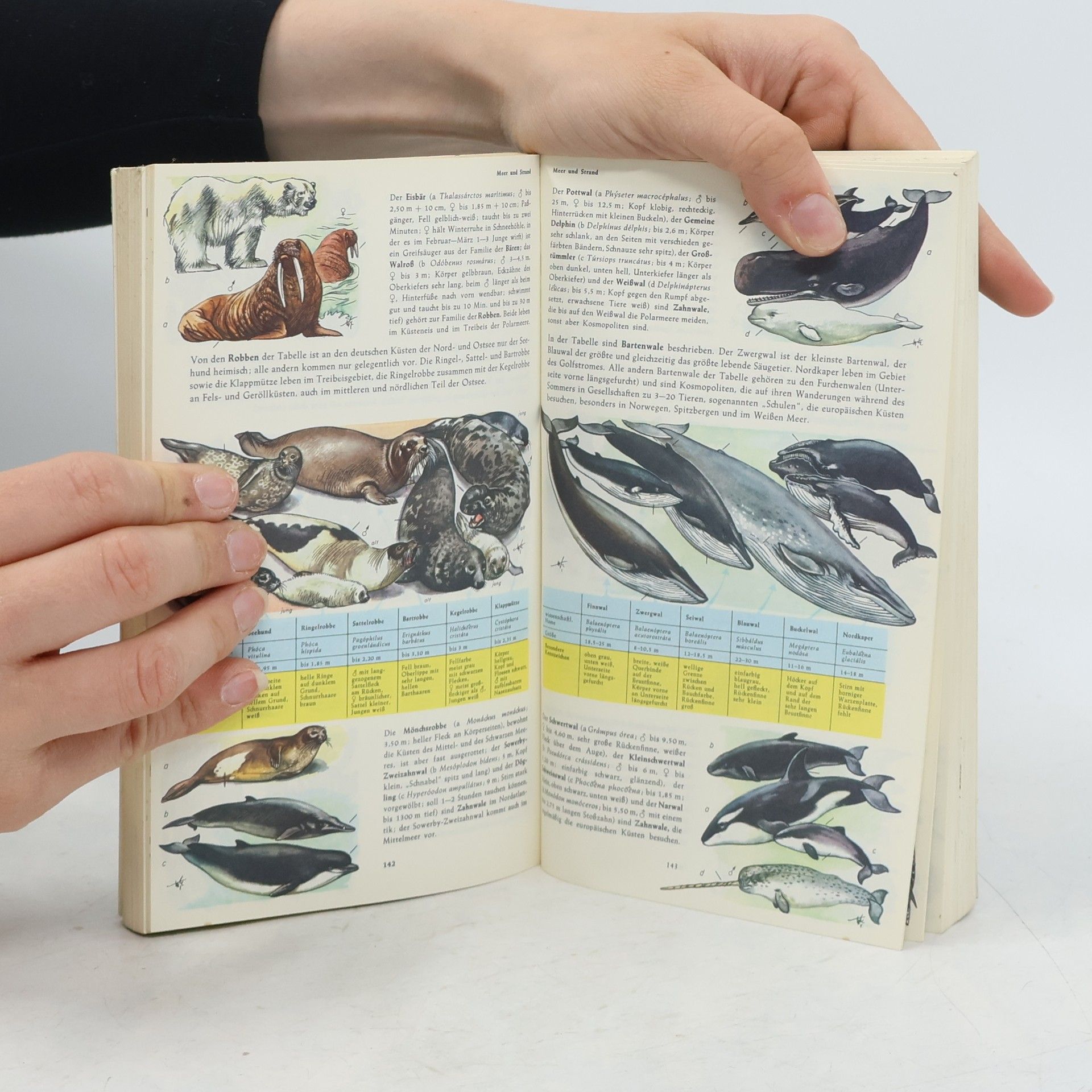 Harry Garms Pflanzen und Tiere Europas
