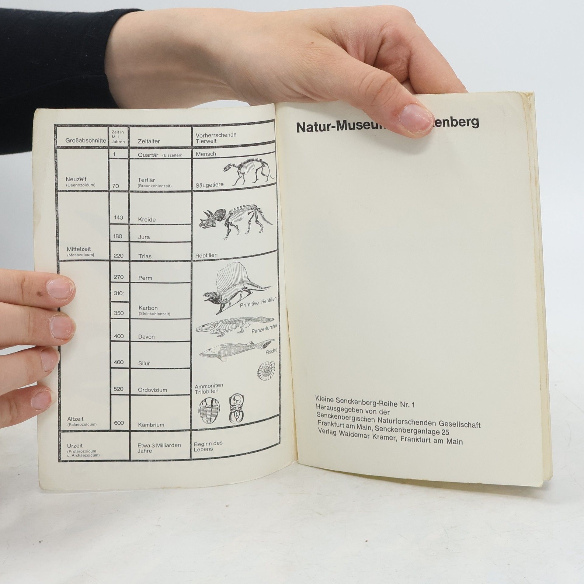 Autorenkollektiv Natur-Museum Senckenberg